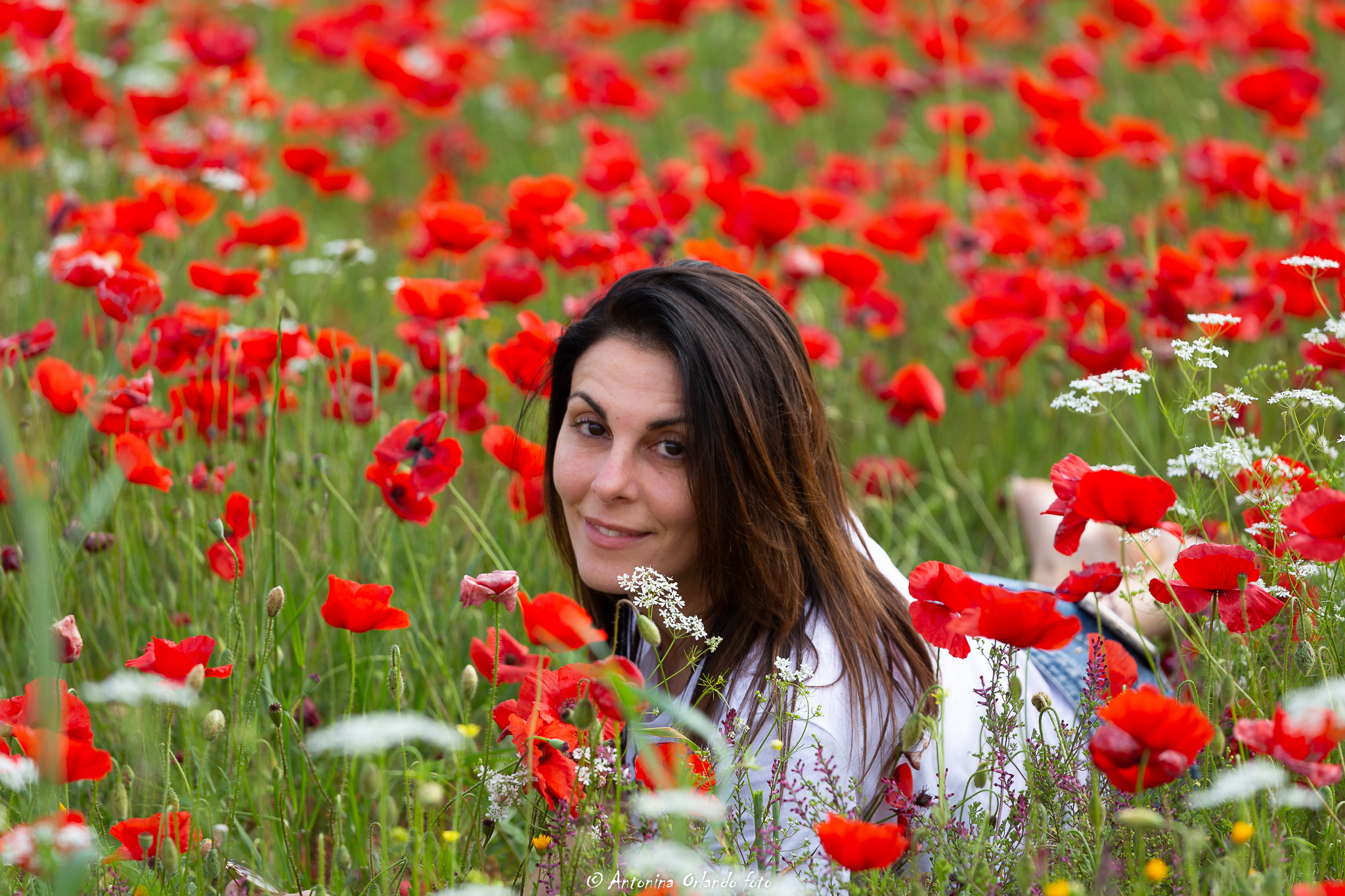 Regina tra i papaveri .