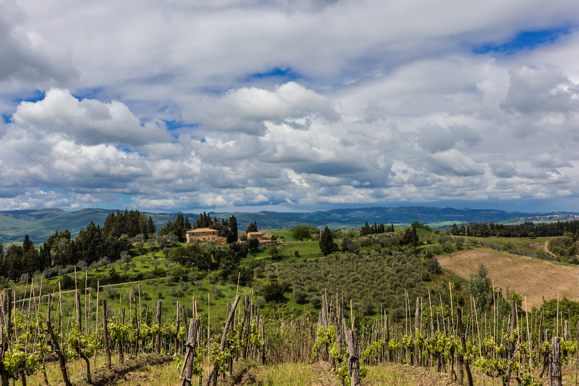 Colline toscane