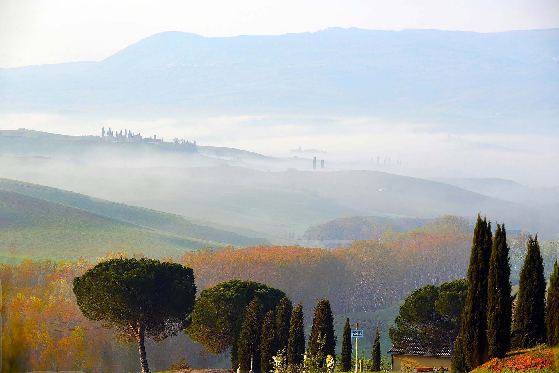 Dawn Fog in Val d'orcia