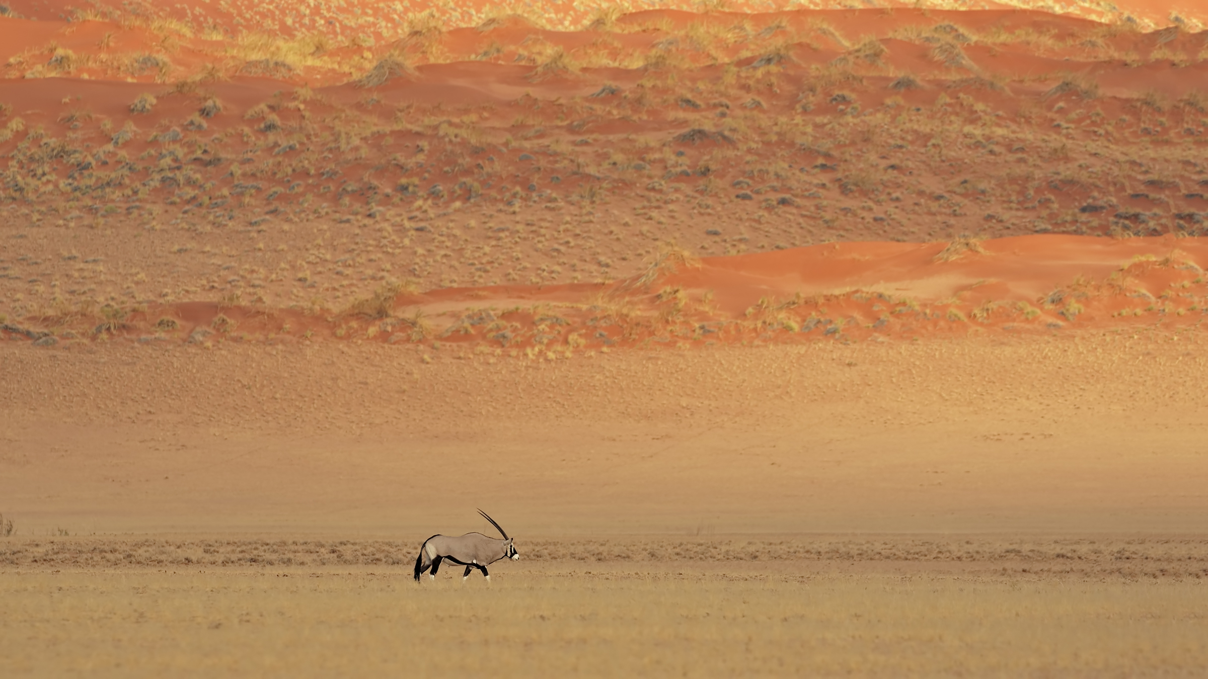 Namib