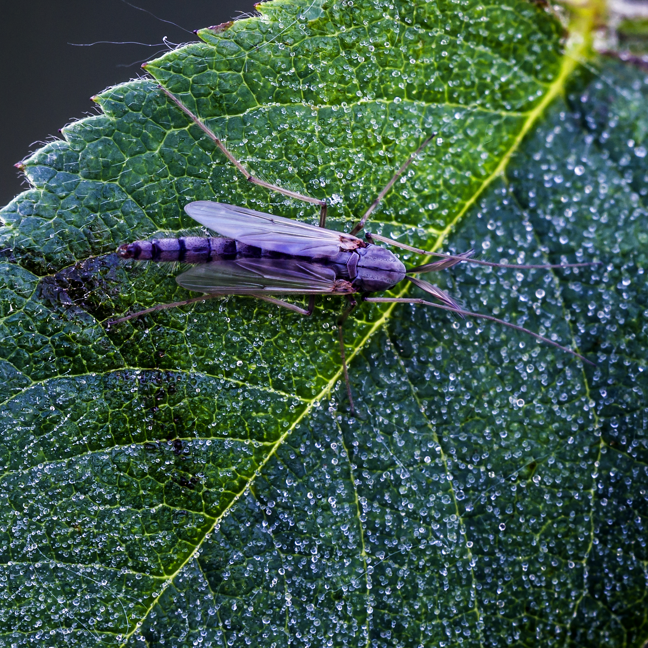 After a cold night 2