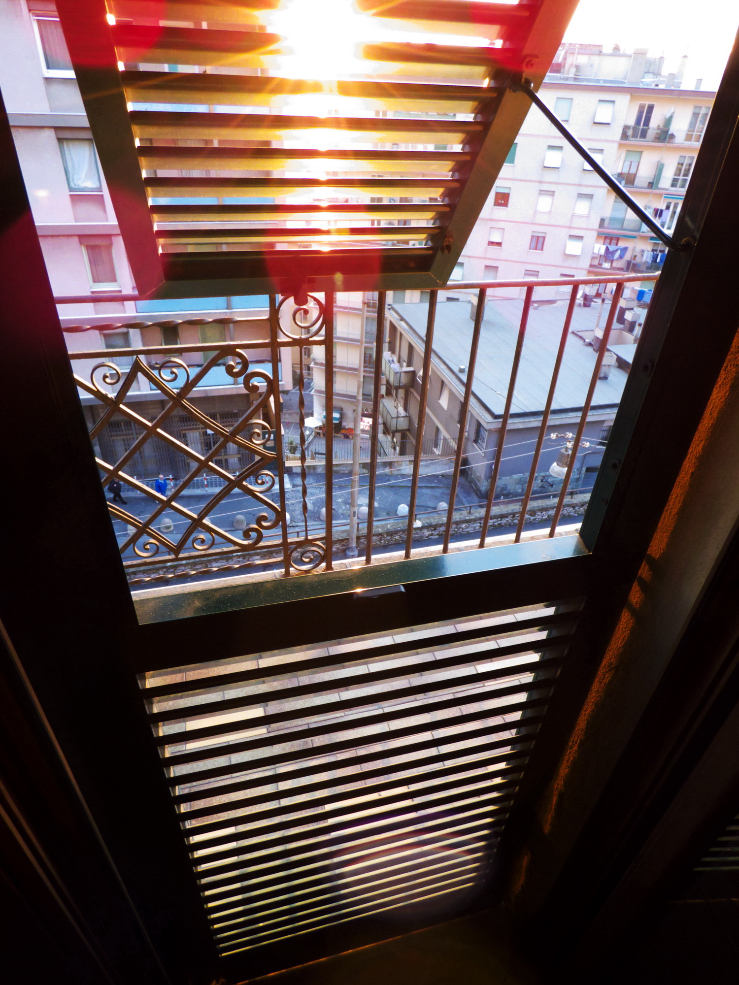 From the French door of my house