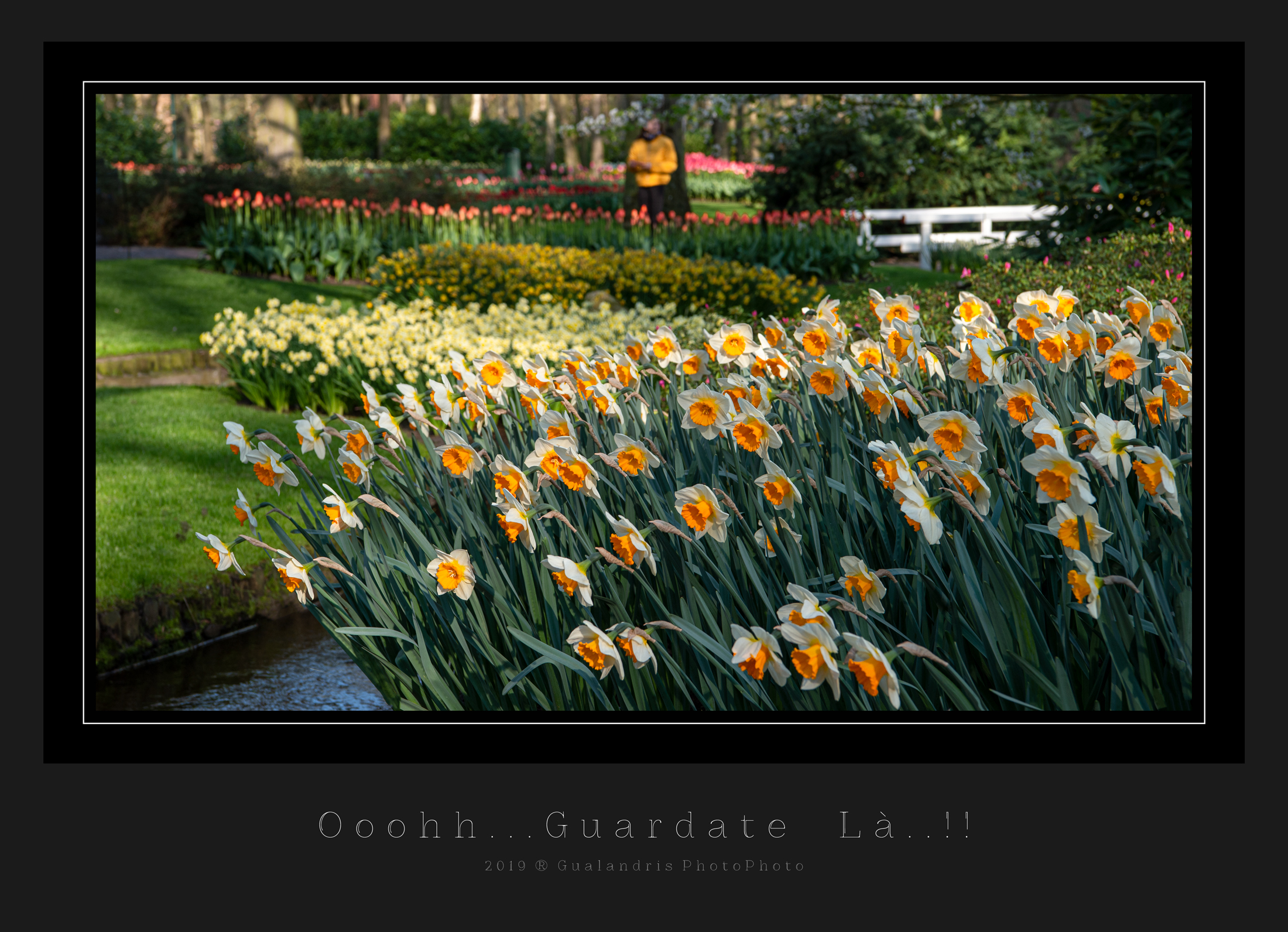 Ooohh... Look there..!!