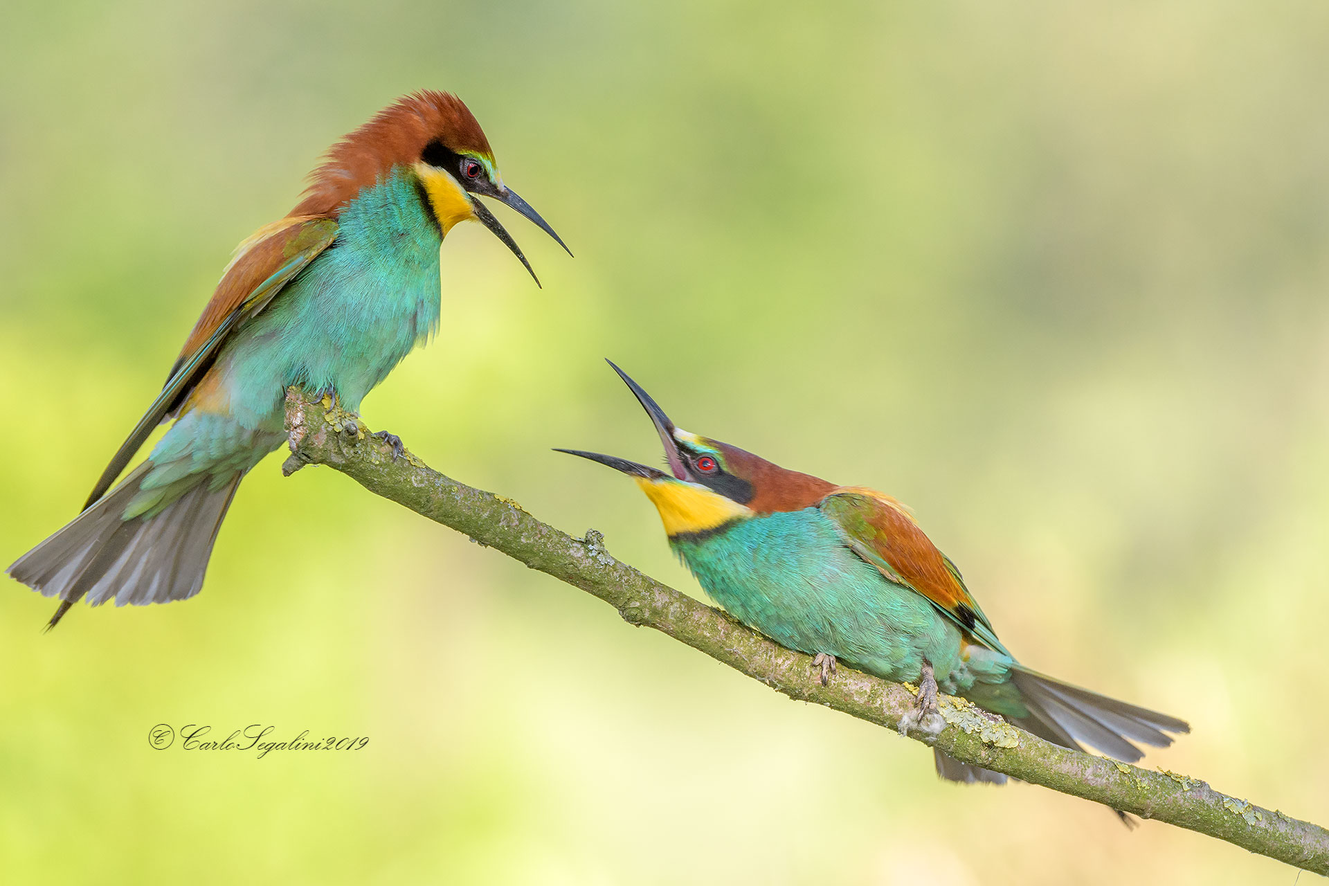 Discussione in famiglia