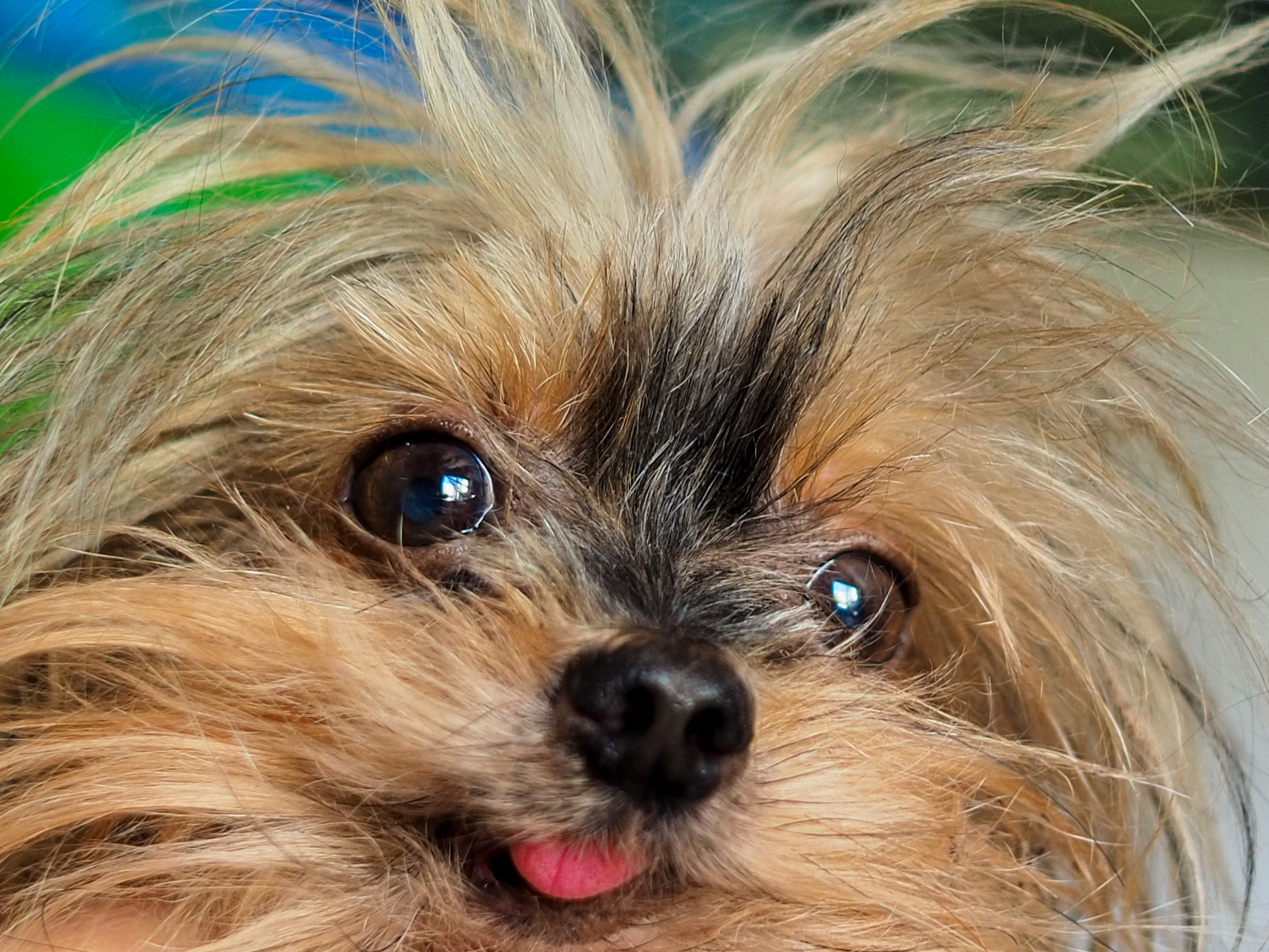 Turbo makes the model