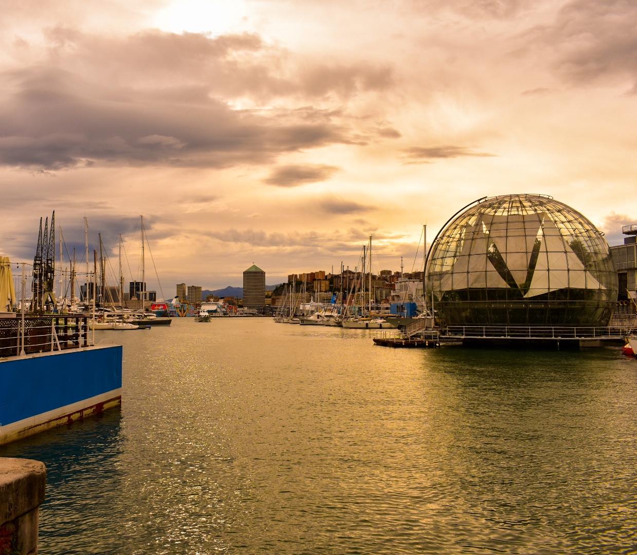 Genova
