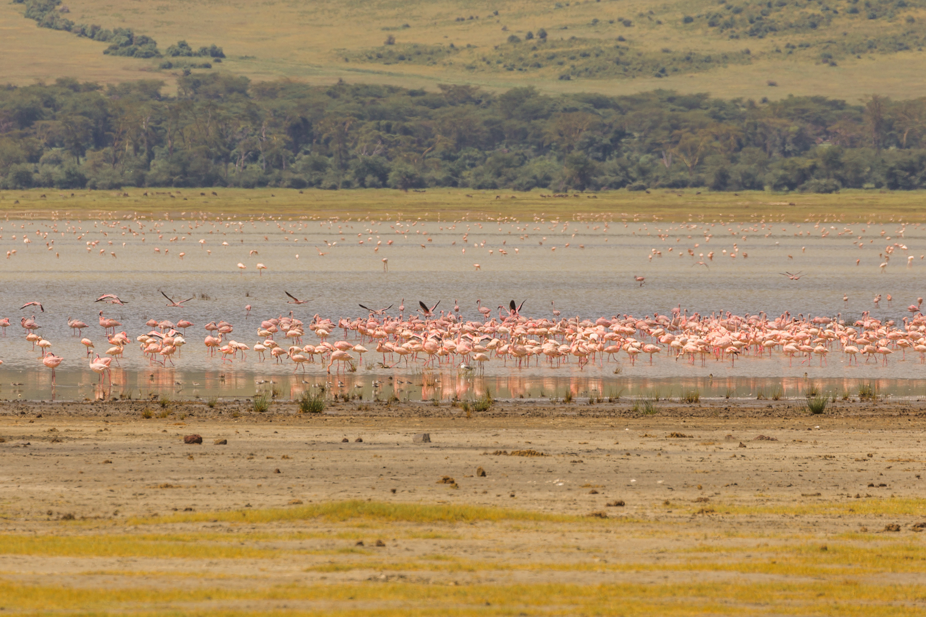 Ngorongoro 02