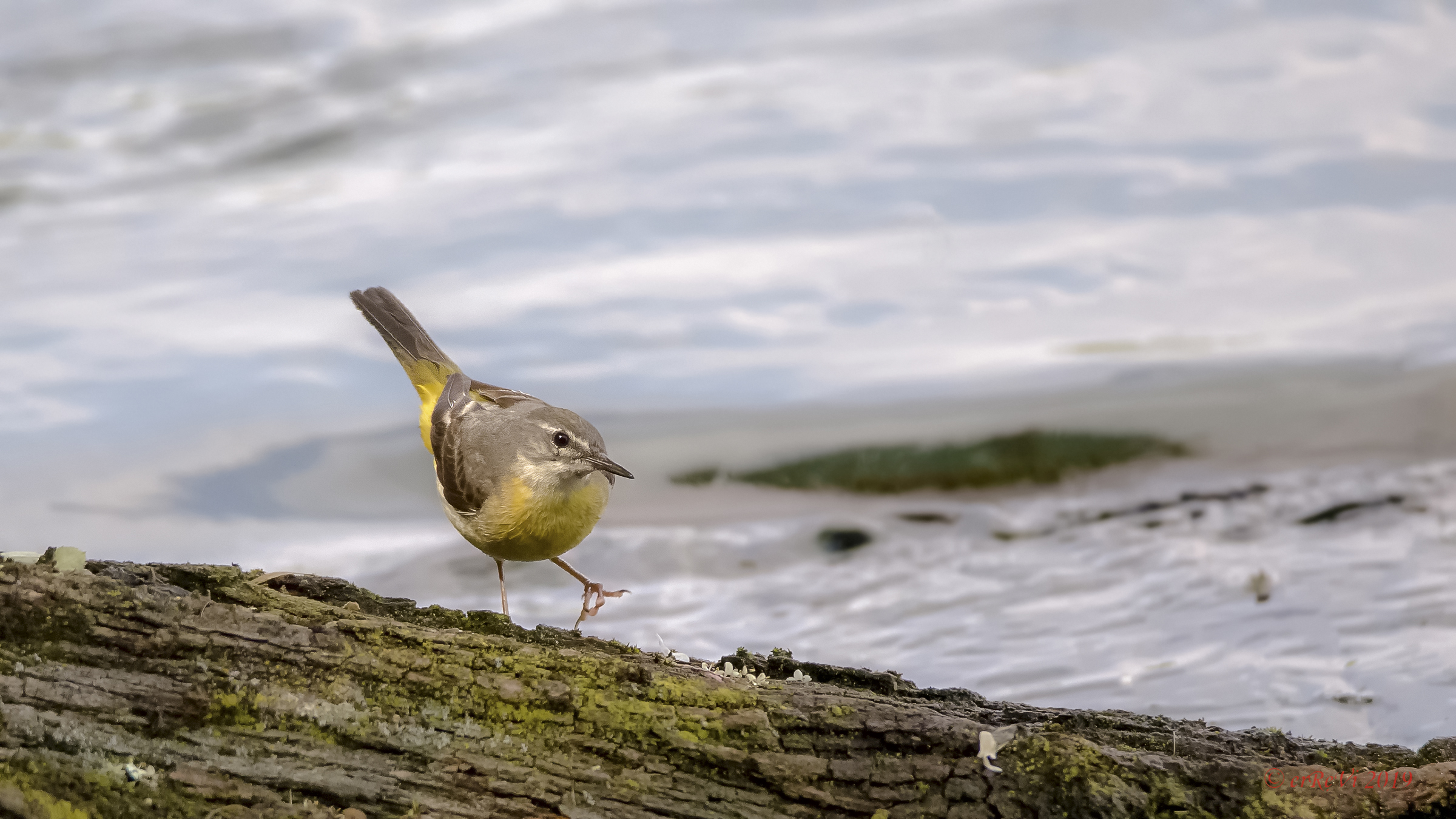 Ballerina at the Pass