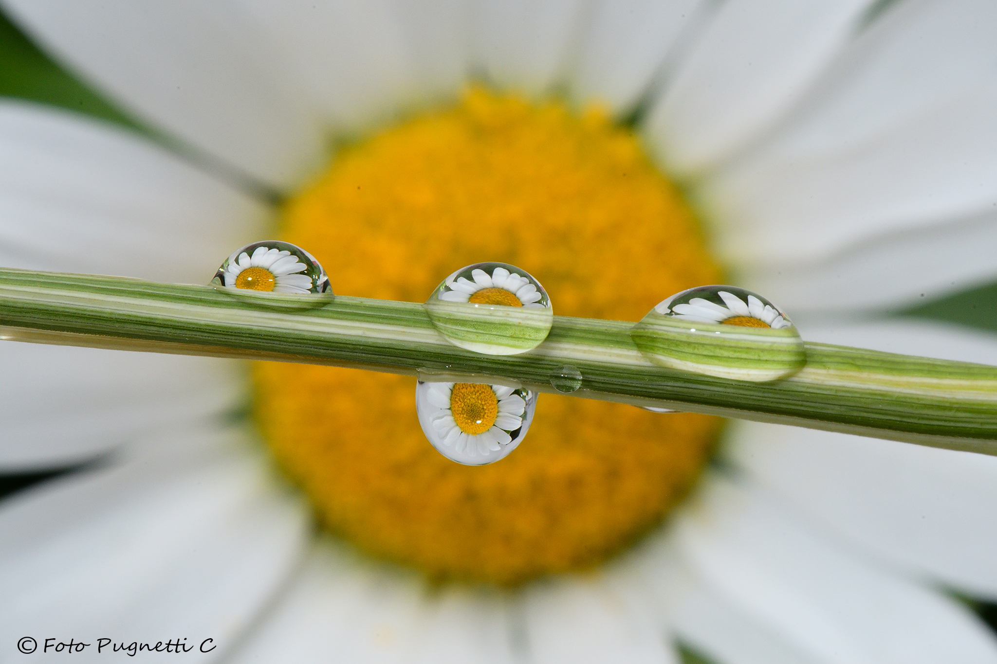 Almost perfect symmetries