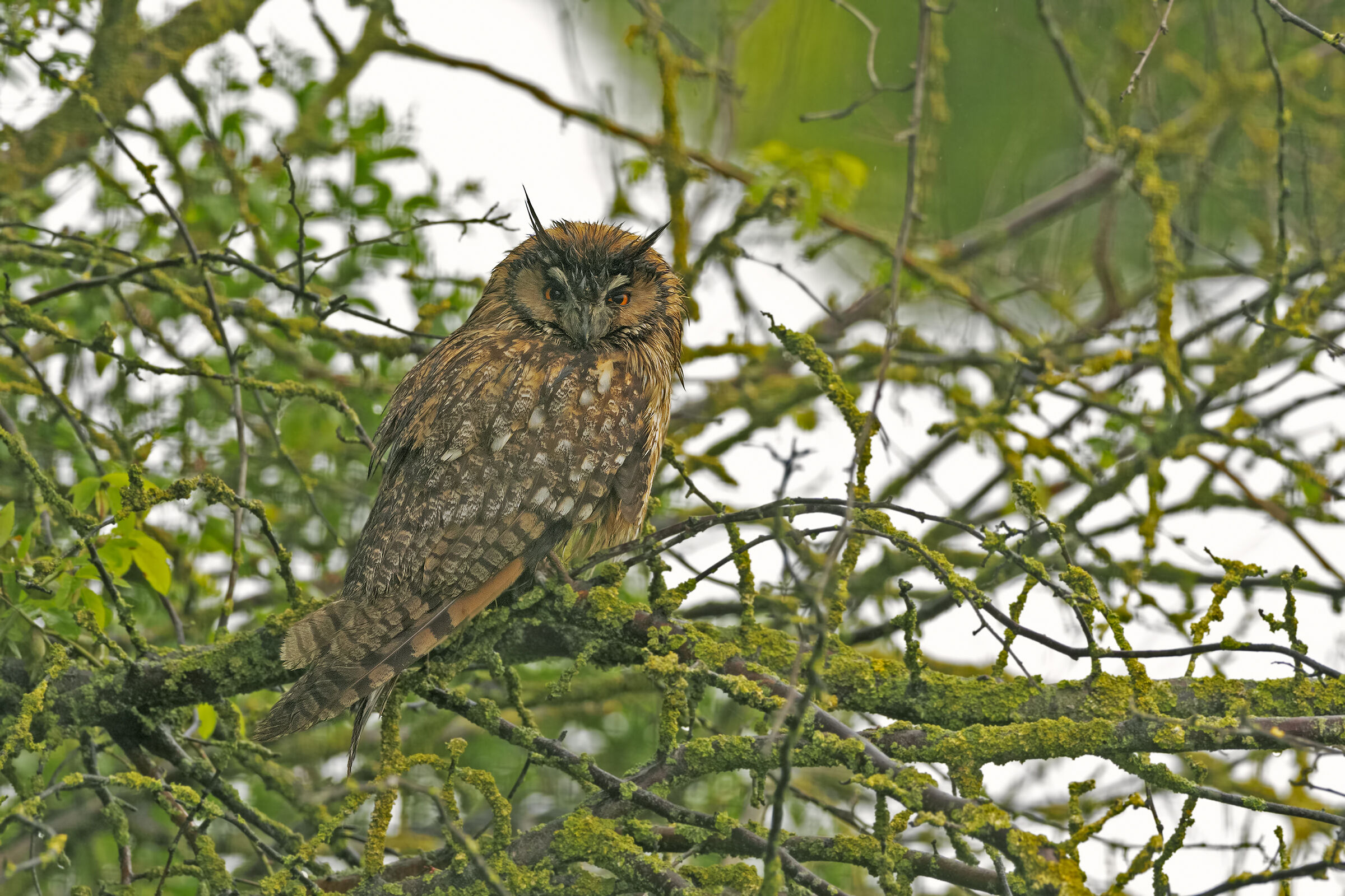 Un incontro inaspettatato.