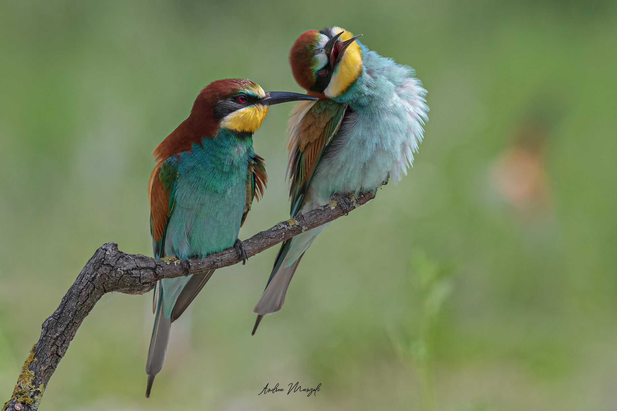 No talking in the ear!!