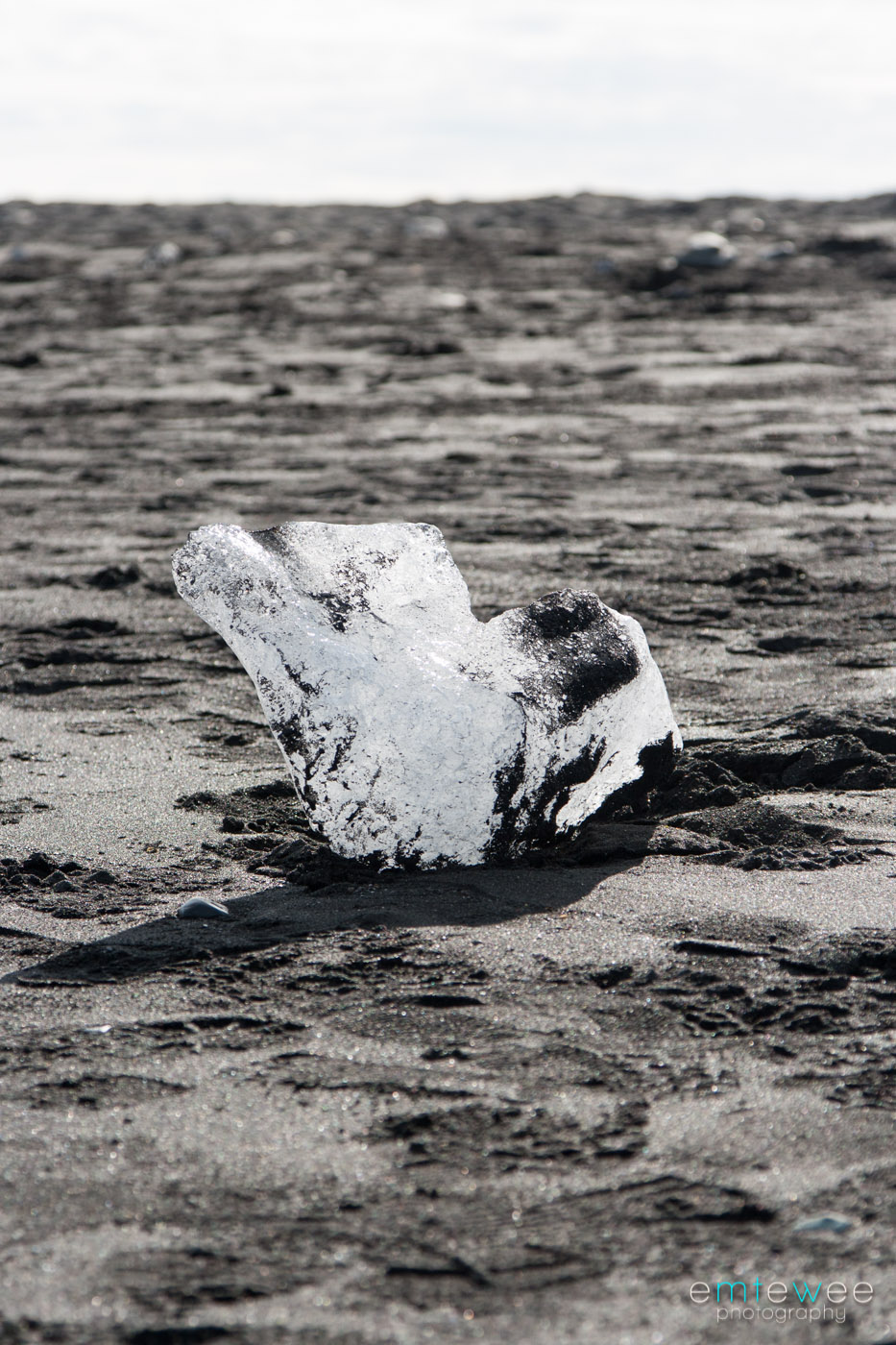 Natural Black & White