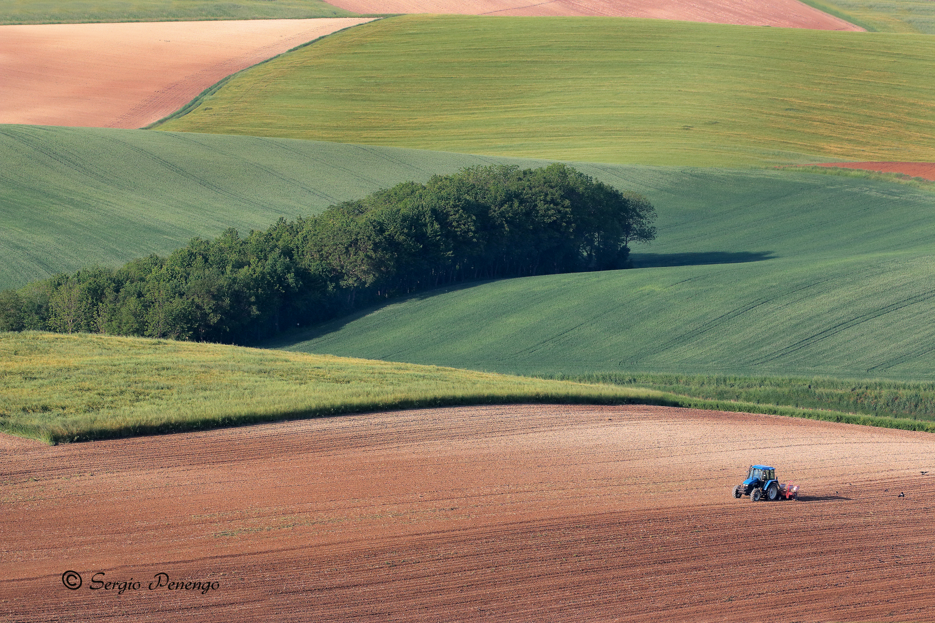 "Il lavoro nei campi"