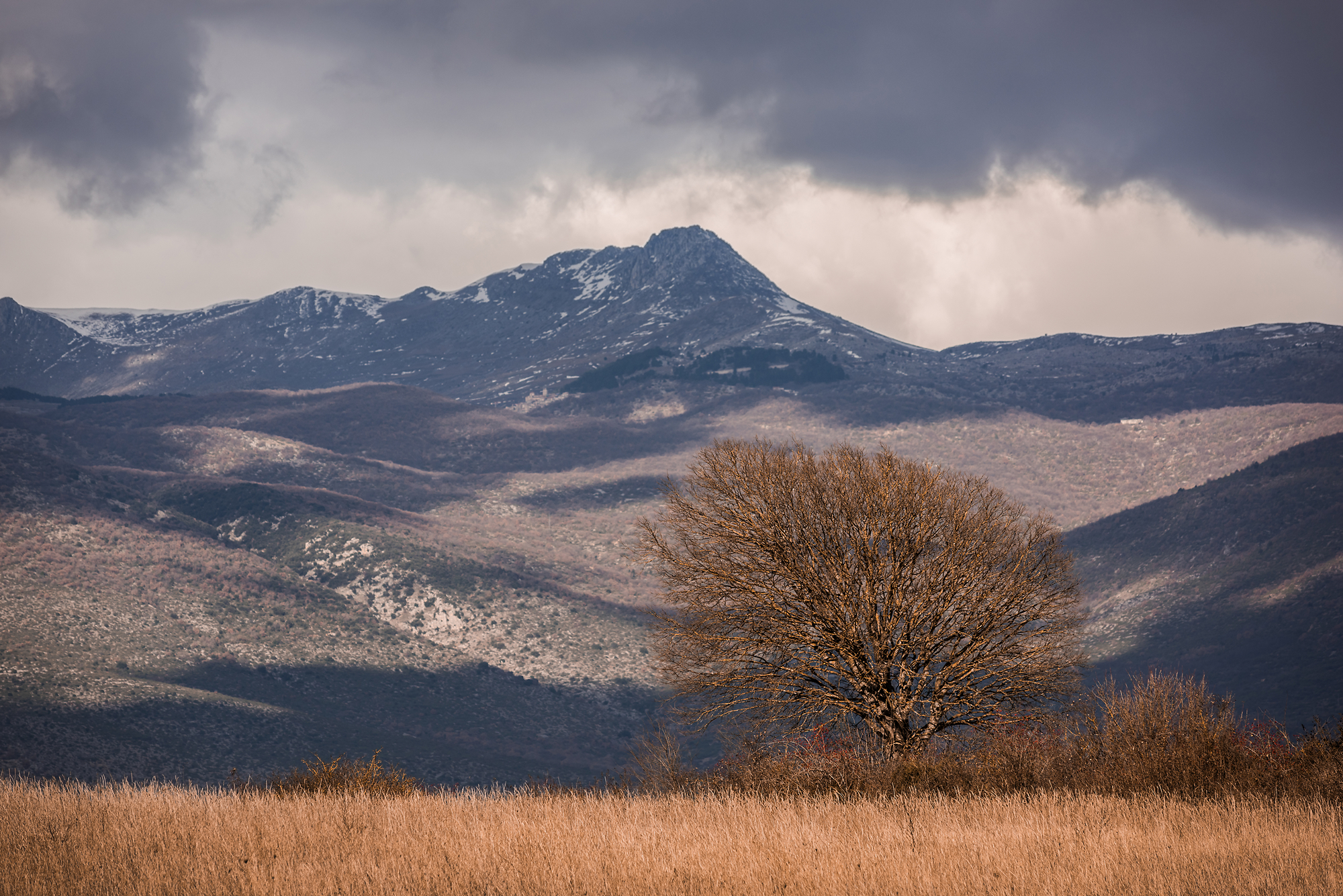 Terre d'Abruzzo