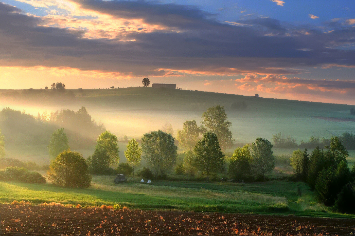 Like the Sun suddenly