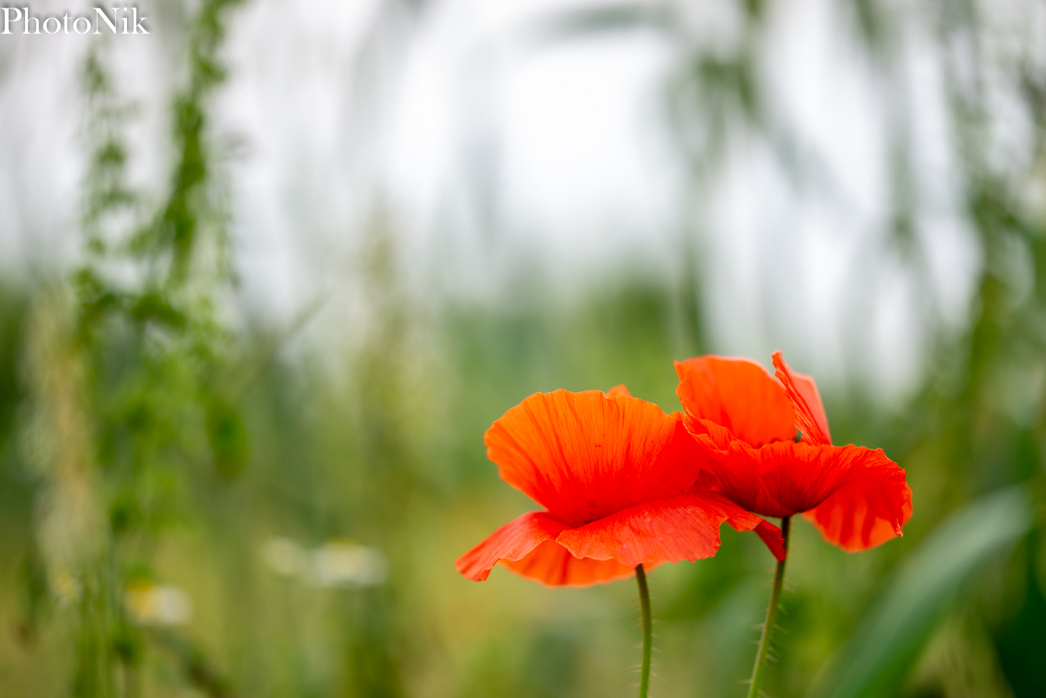 I'm going to support you for a moment...