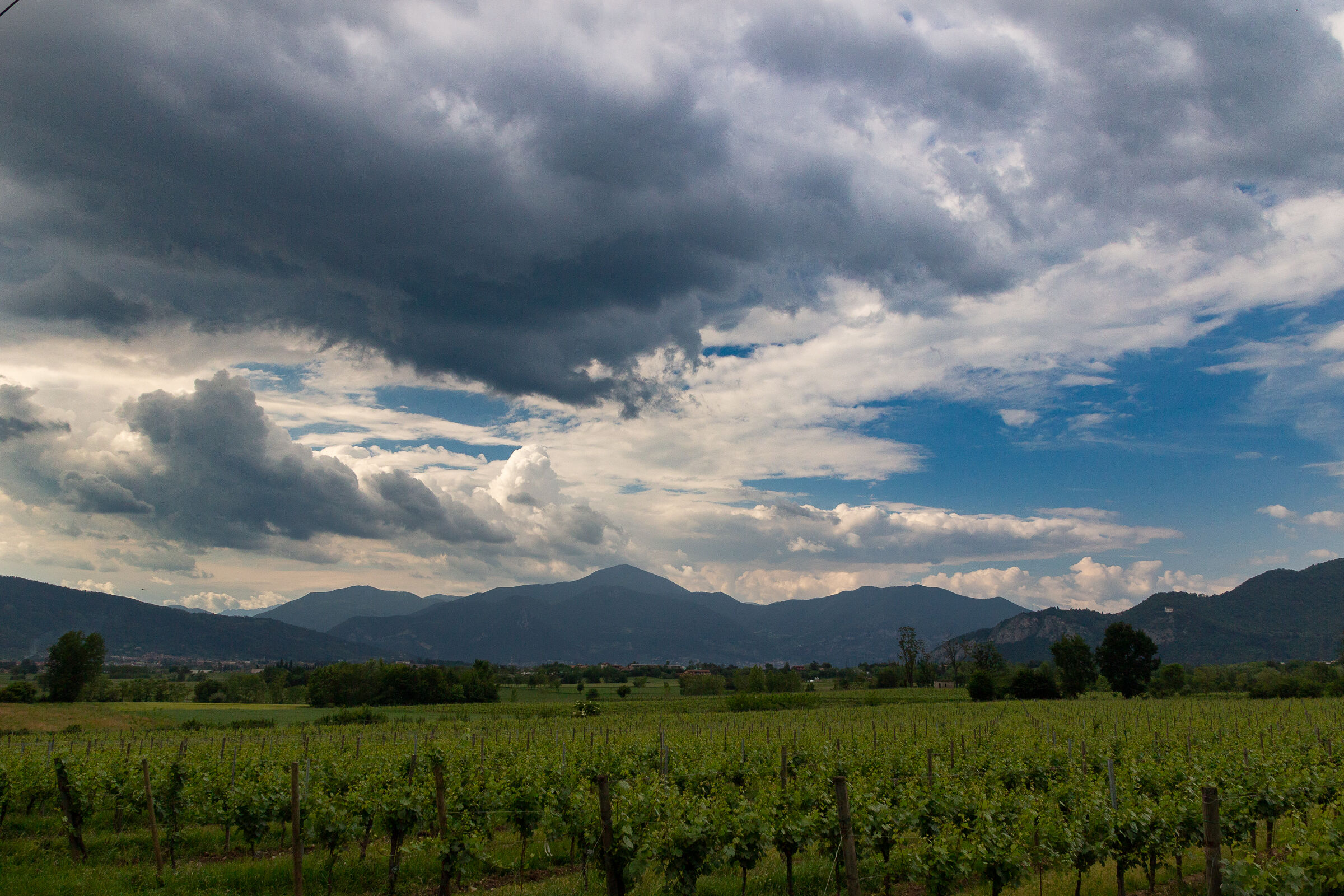 On the way to Monterotondo