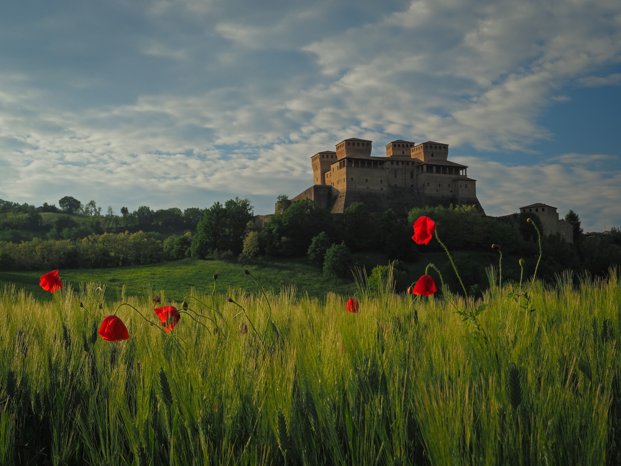 Cartolina da Torrechiara
