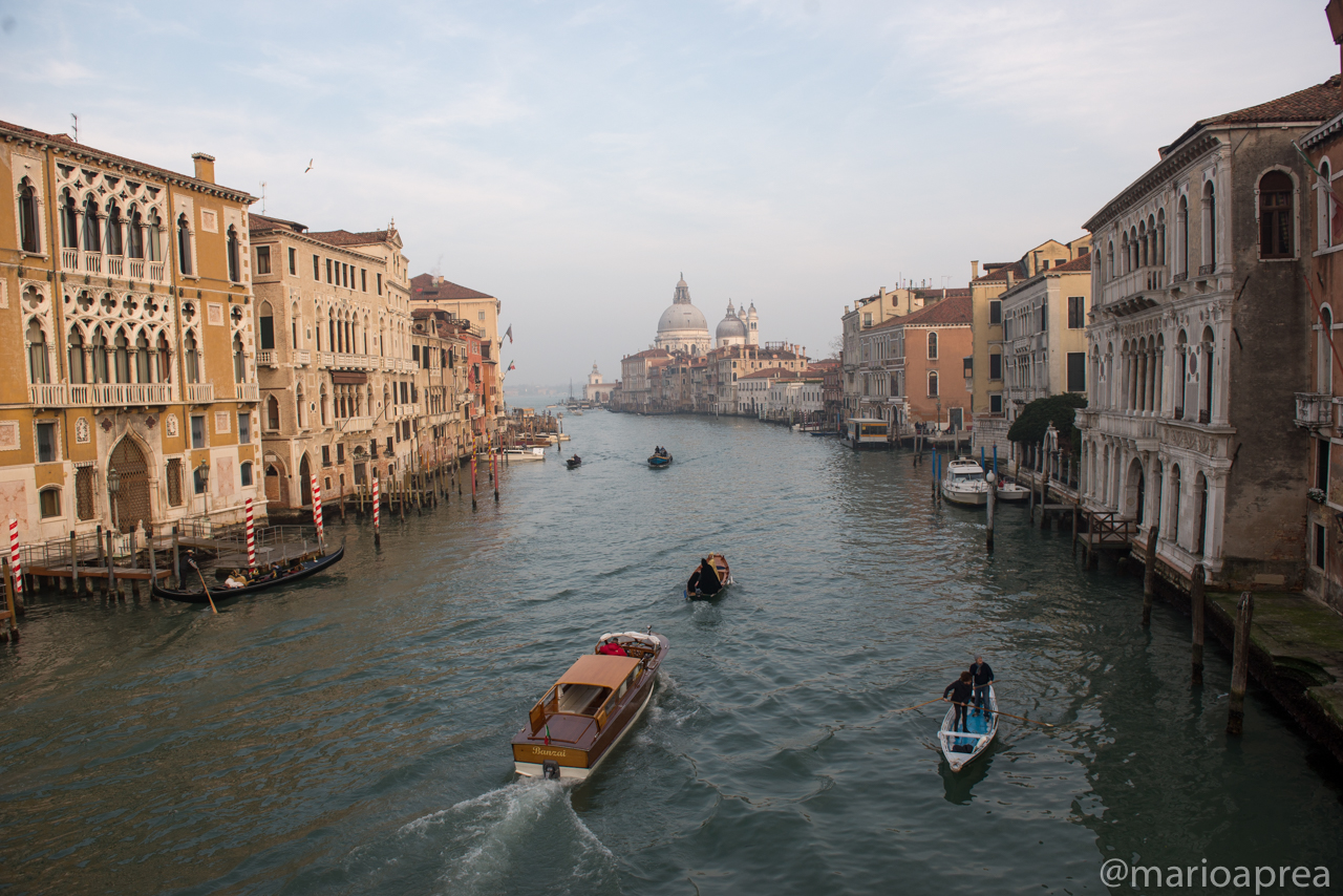 Venezia