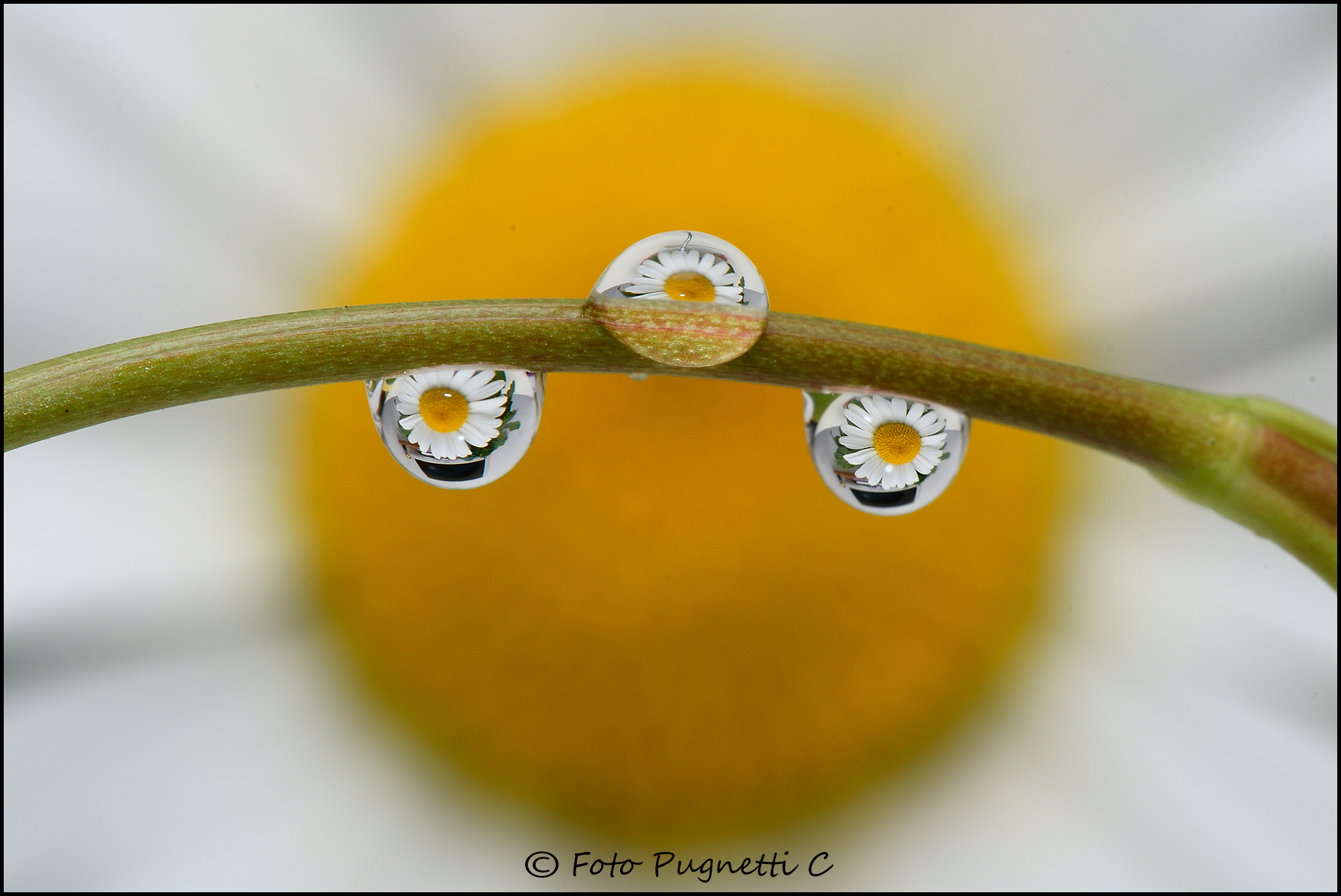 Wonderful drops