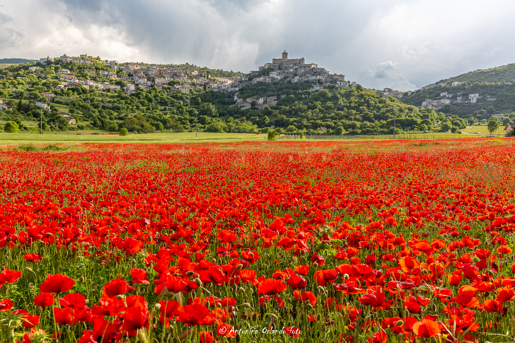 Poppies and the Village at sunset