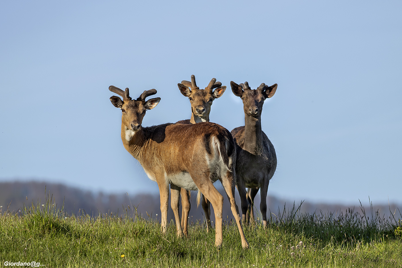 In posa per la foto...