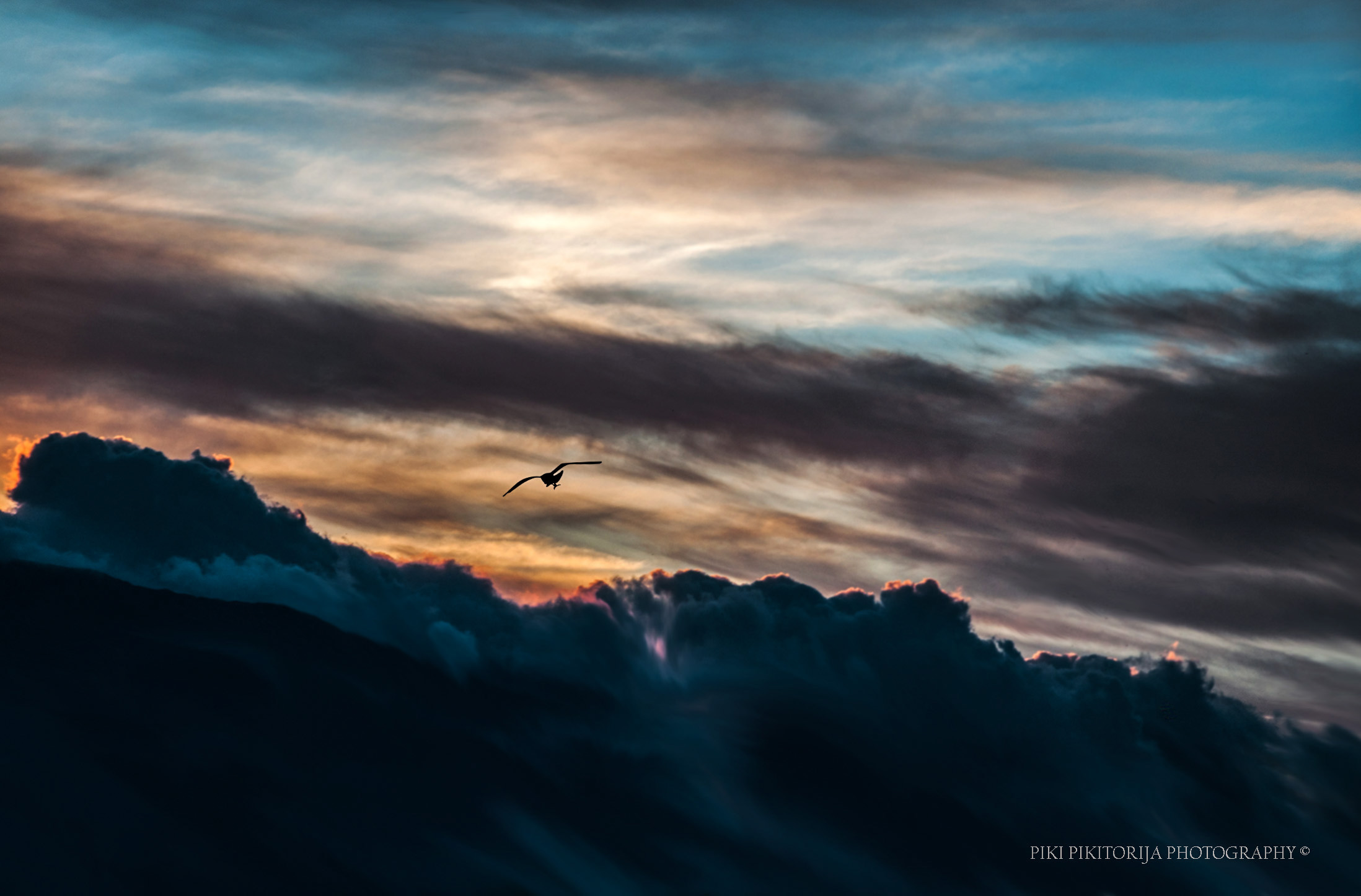 Un anno guardando le nuvole