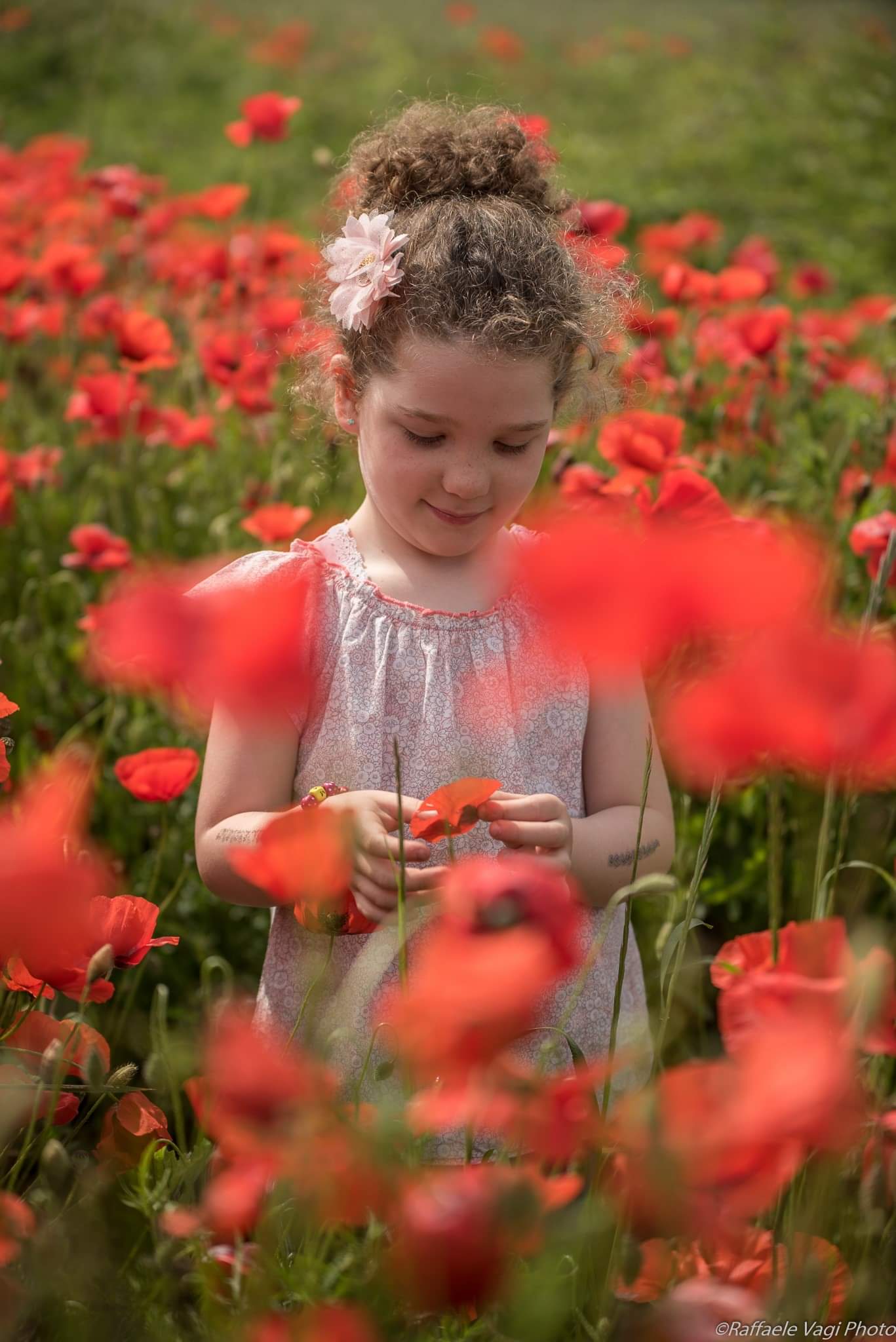Marie and the poppies