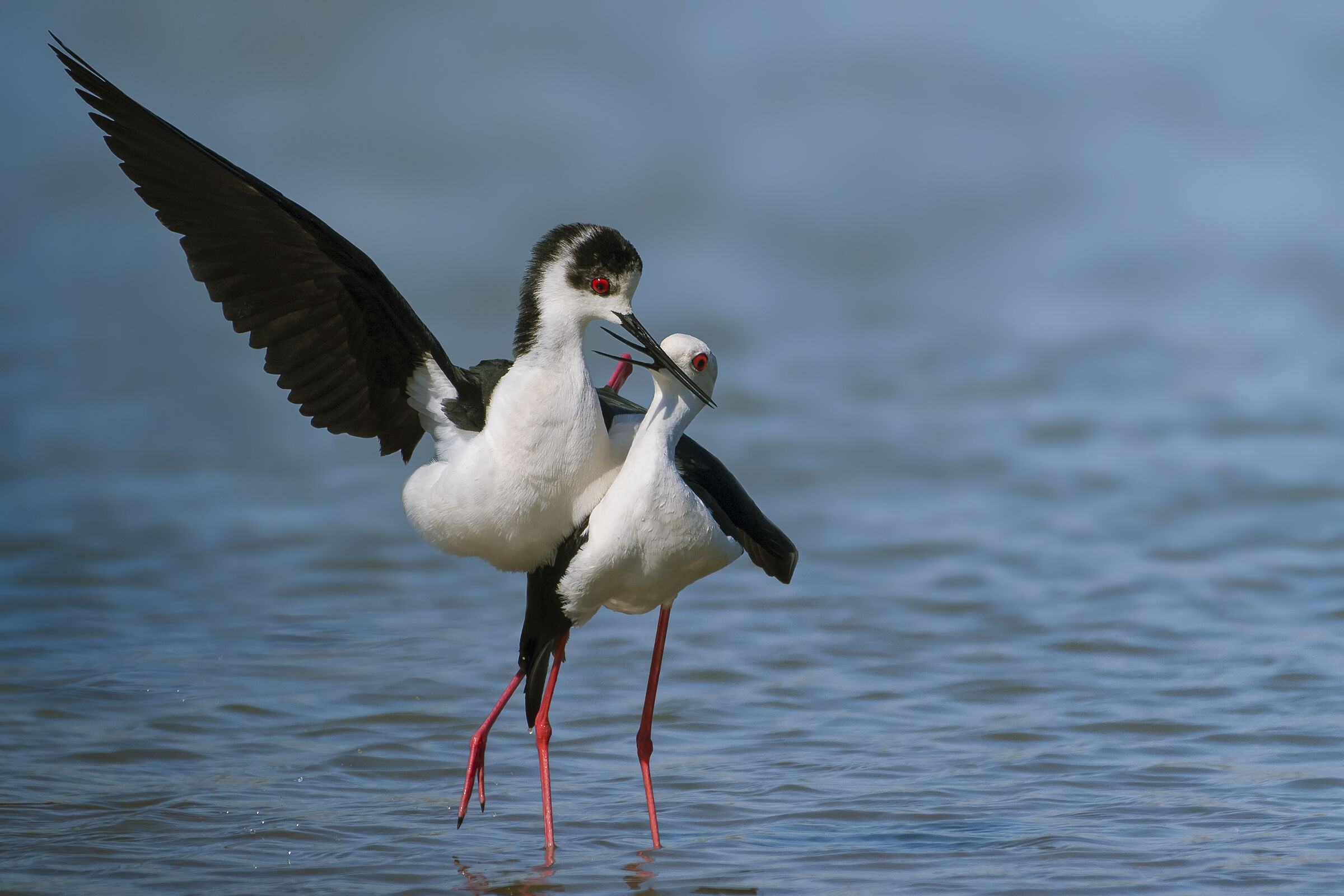 Immediately after the coupling