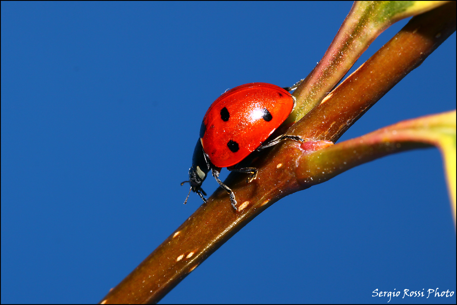C'è chi sale e c'è chi scende
