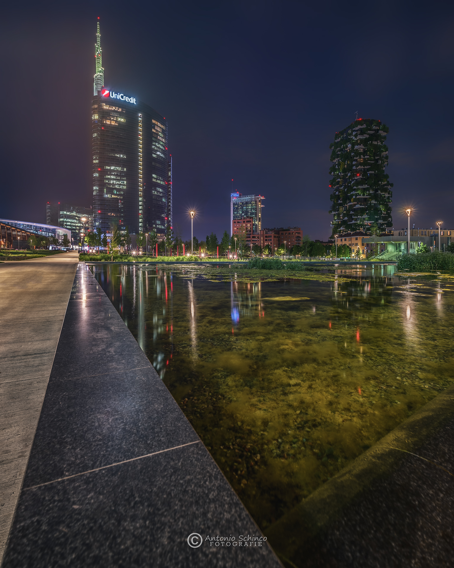 Night in Milan from the Park Library of Trees