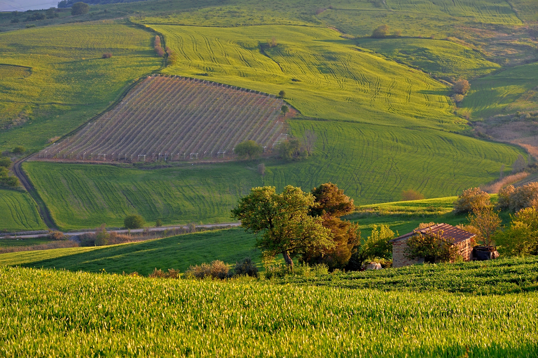 Tramonto Nella Vallata