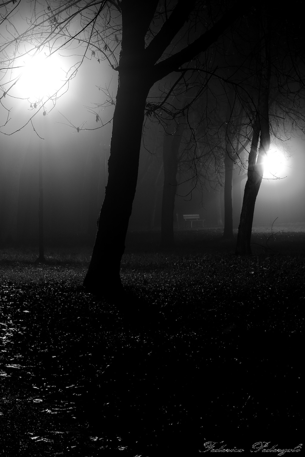 a foggy night