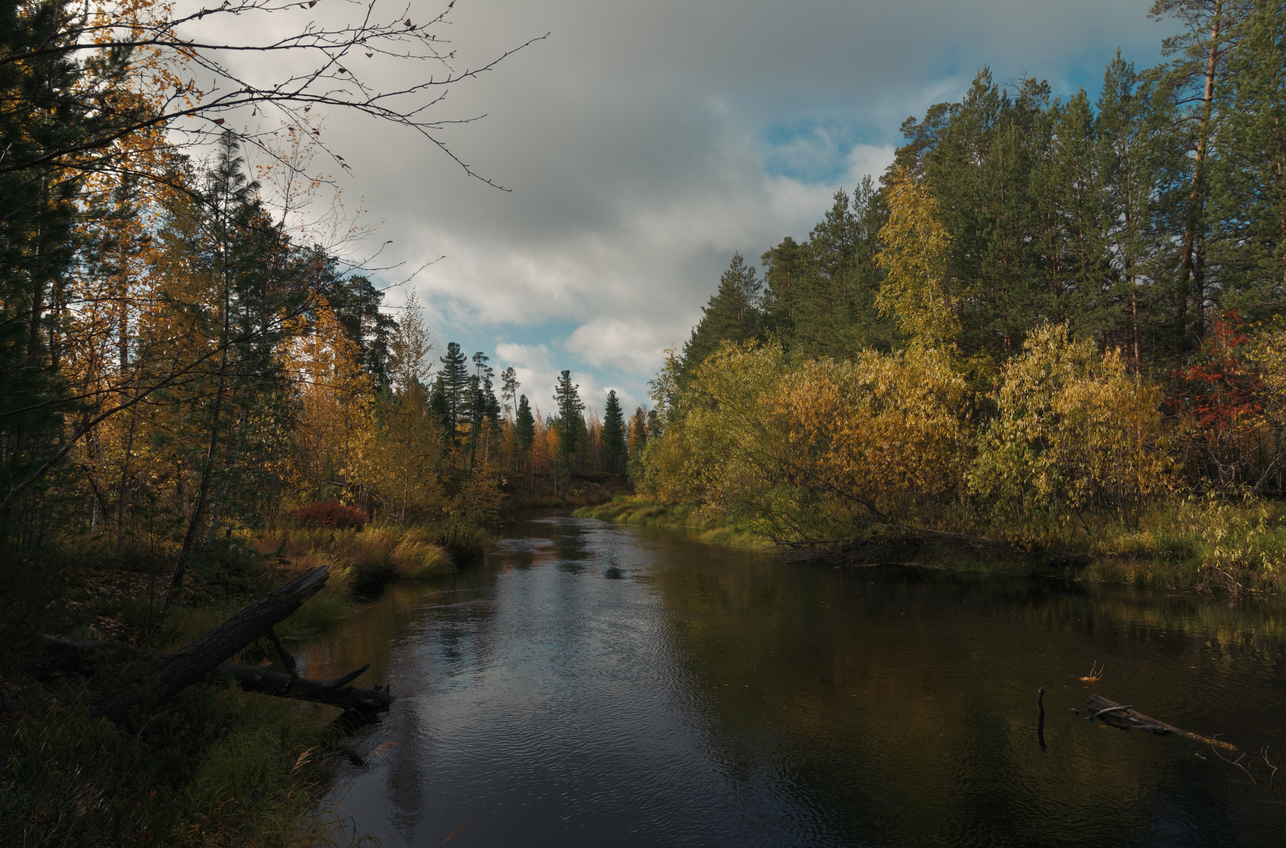 small river in the fall