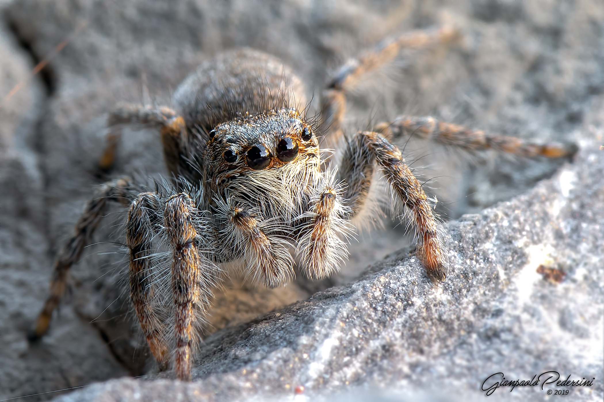 There are those who love me and who hates me....