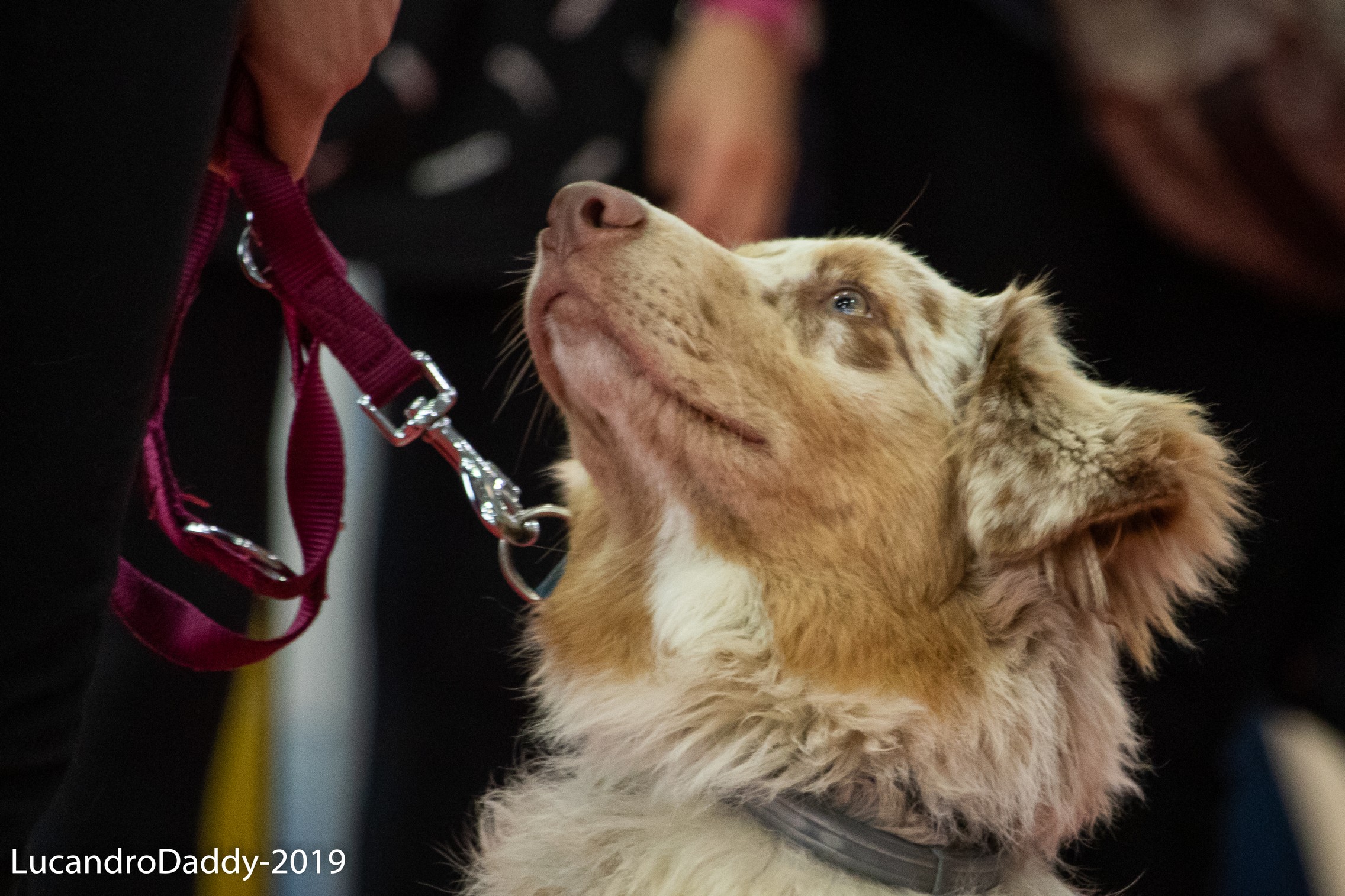 Uno sguardo vale più di mille parole