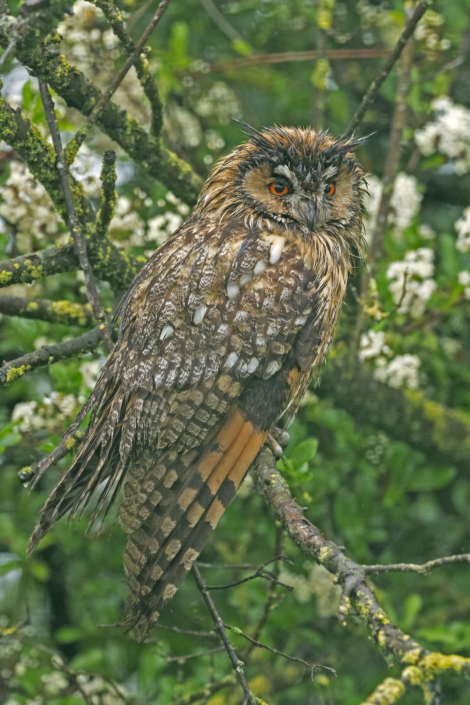 Una gradita sorpresa