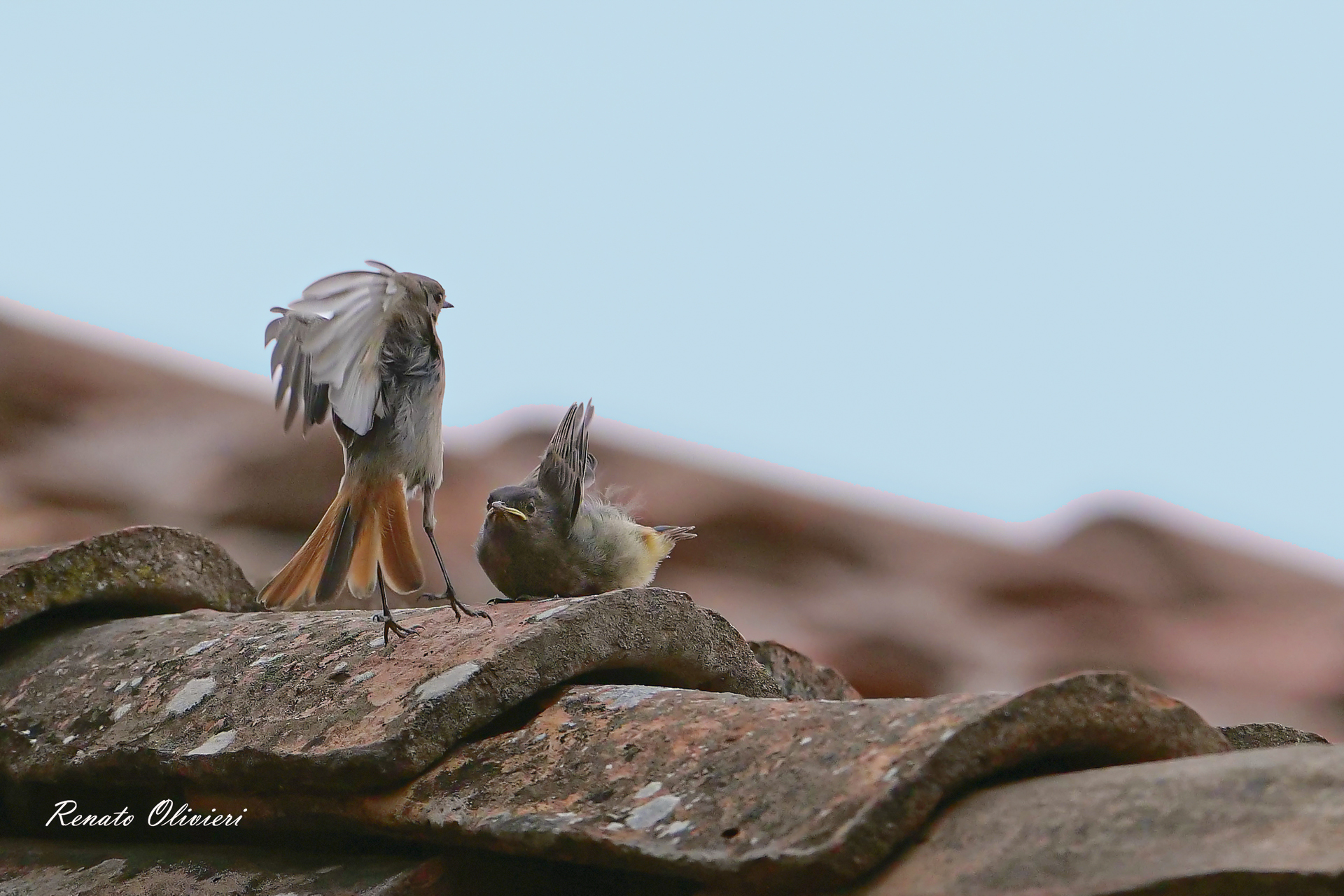Redlight mom with Small
