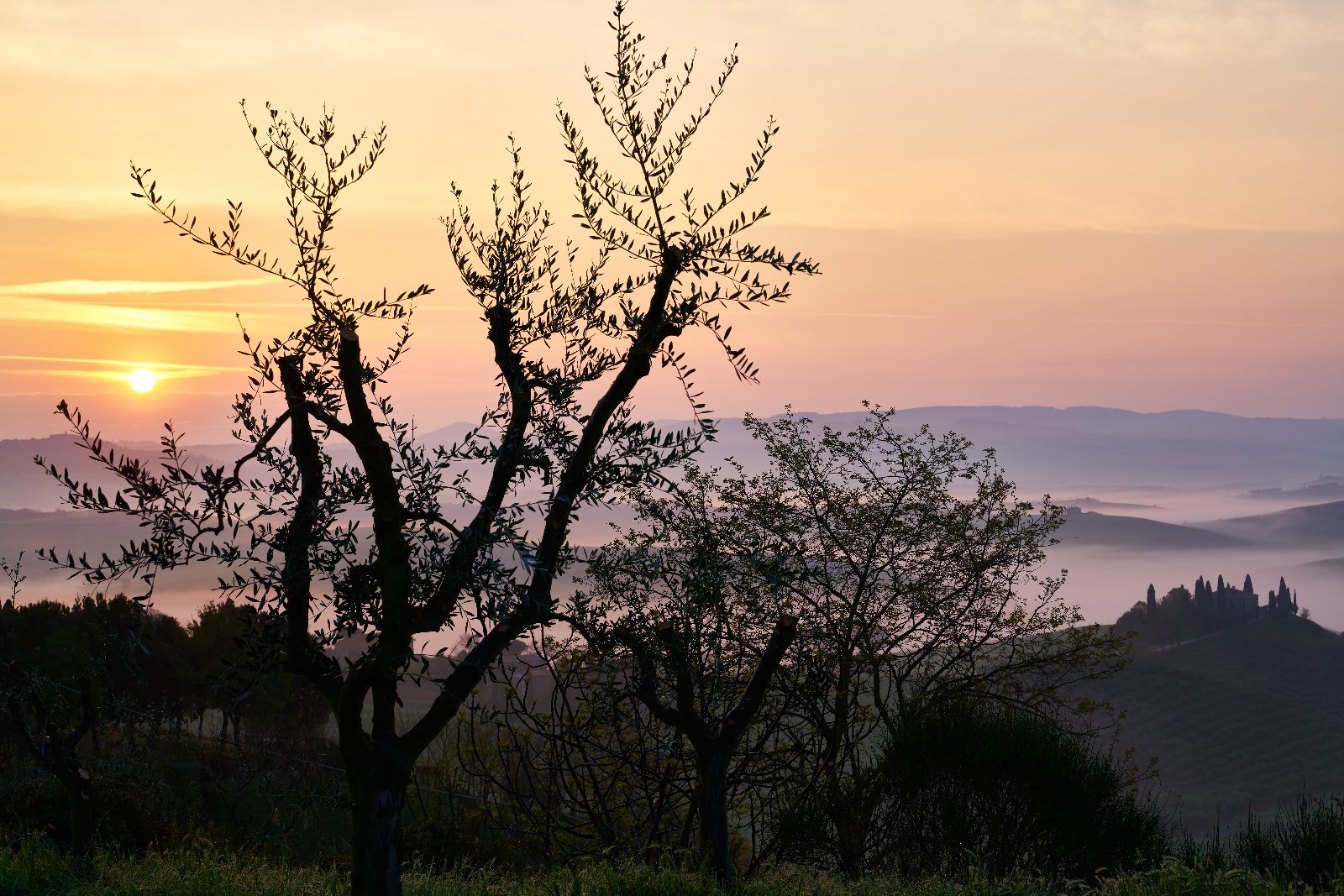Alba in Val d'orcia