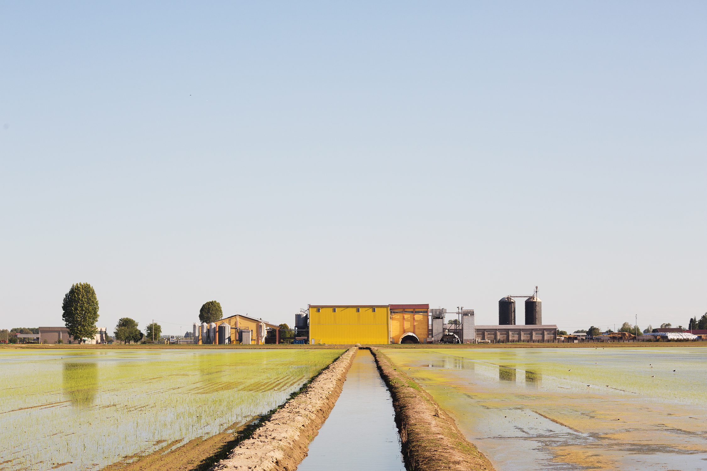 L'industria del riso - Isola della Scala (vr)