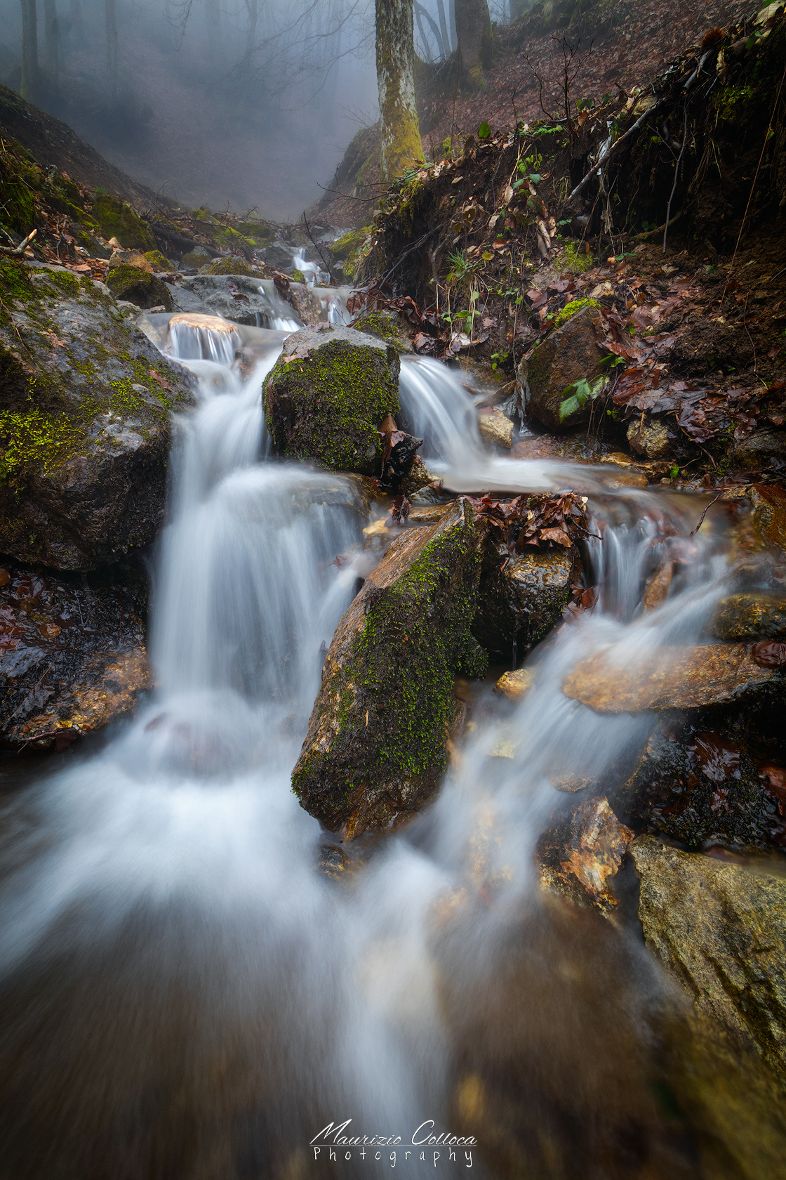 Small waterfall in to the woods