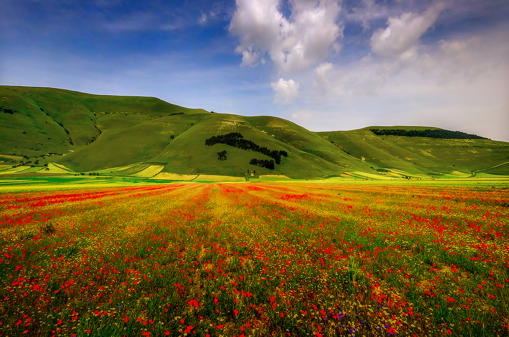 Castelluccio