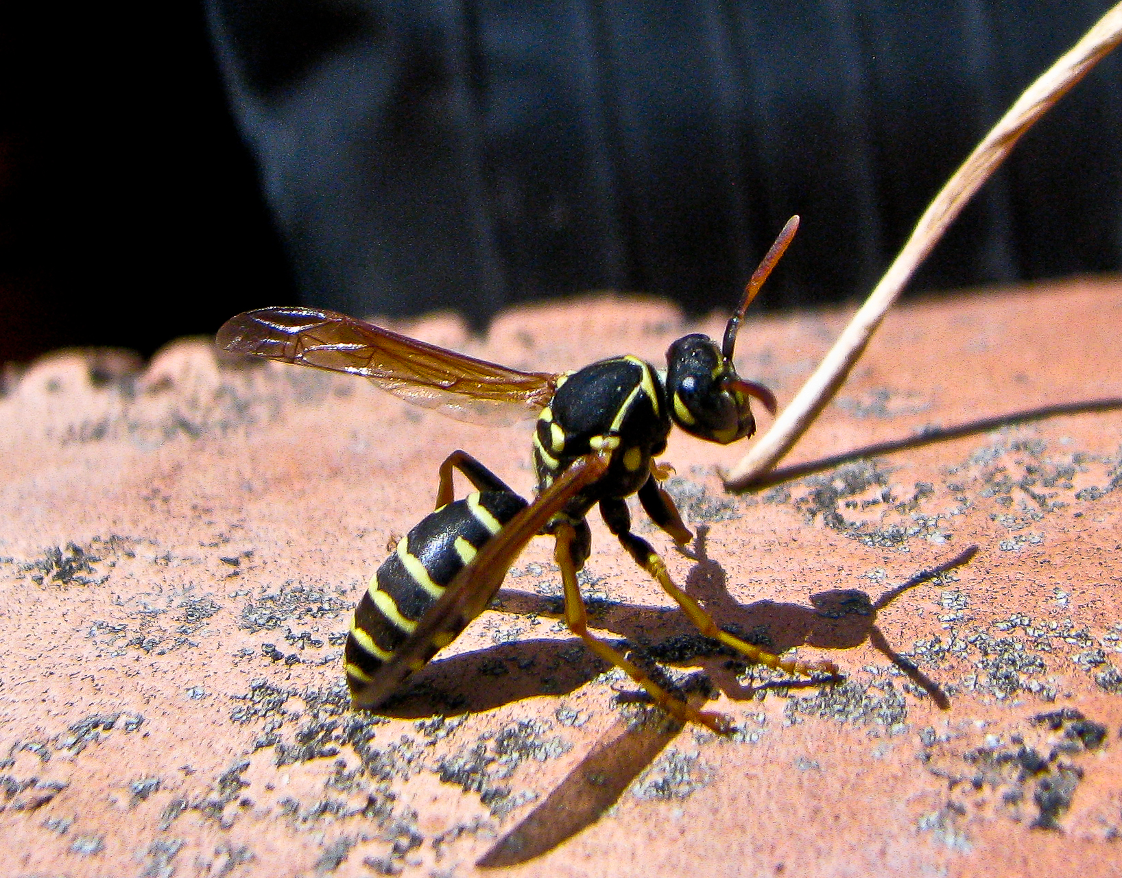 Momento di riflessione