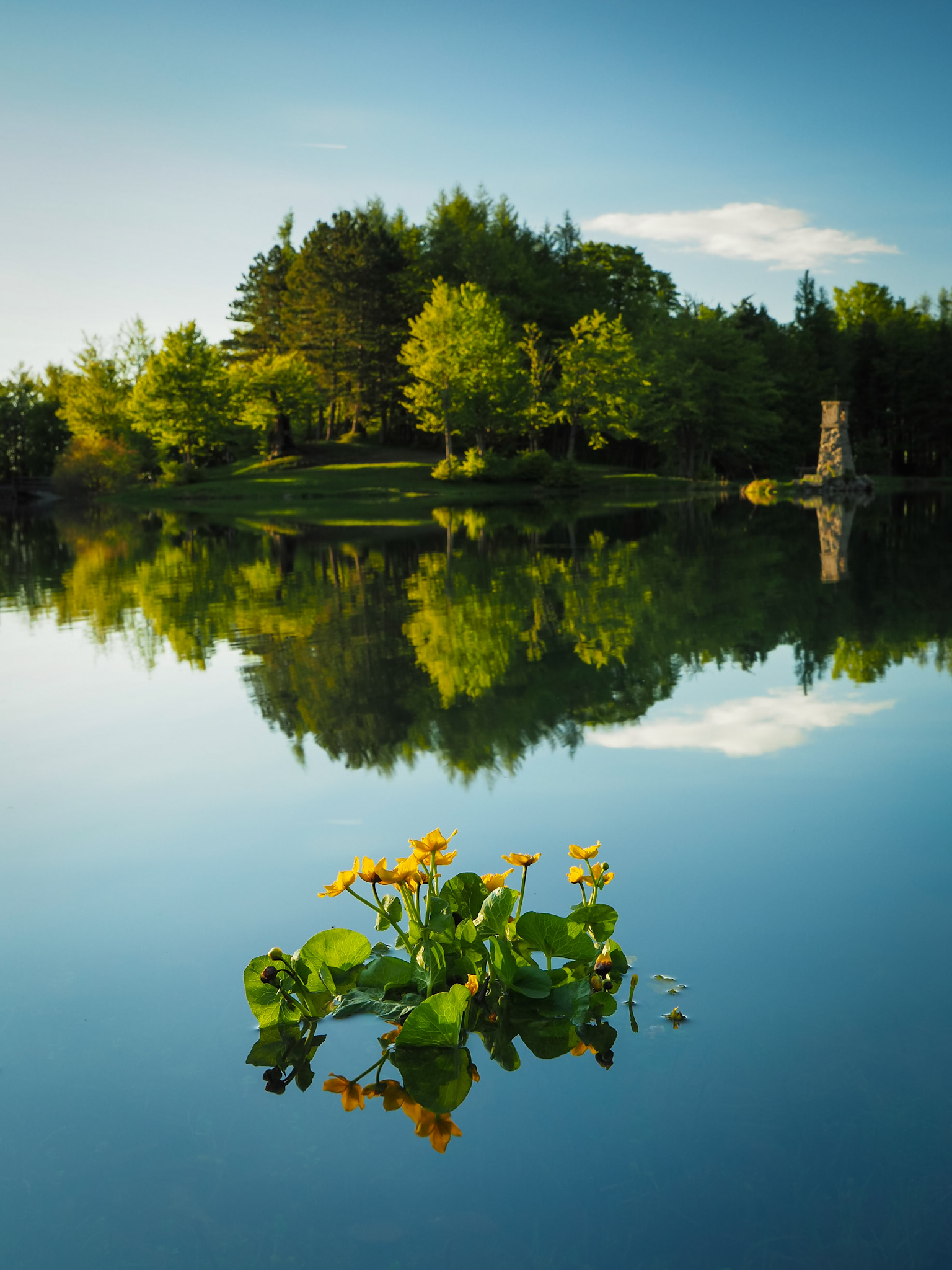 Quiet after the storm