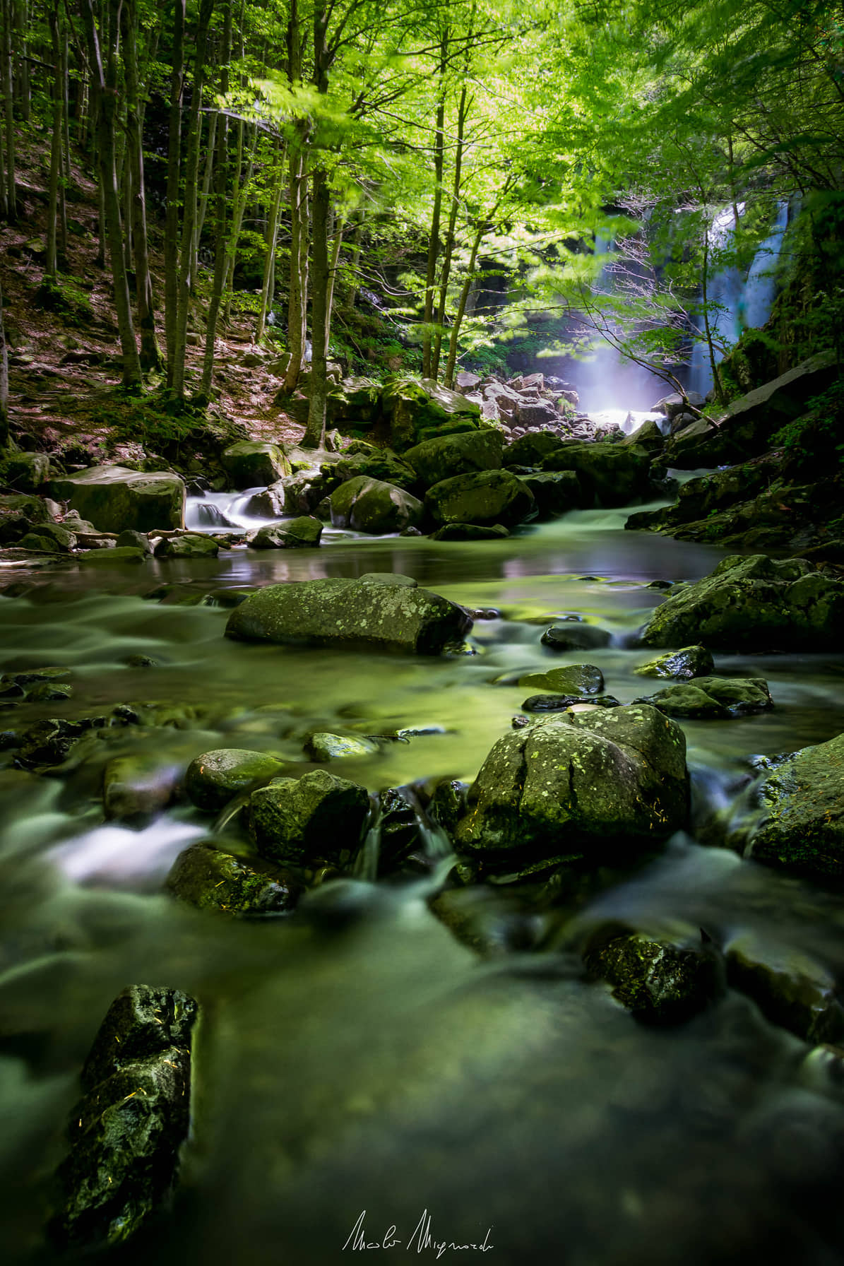 Cascate del Dardagna...in verde