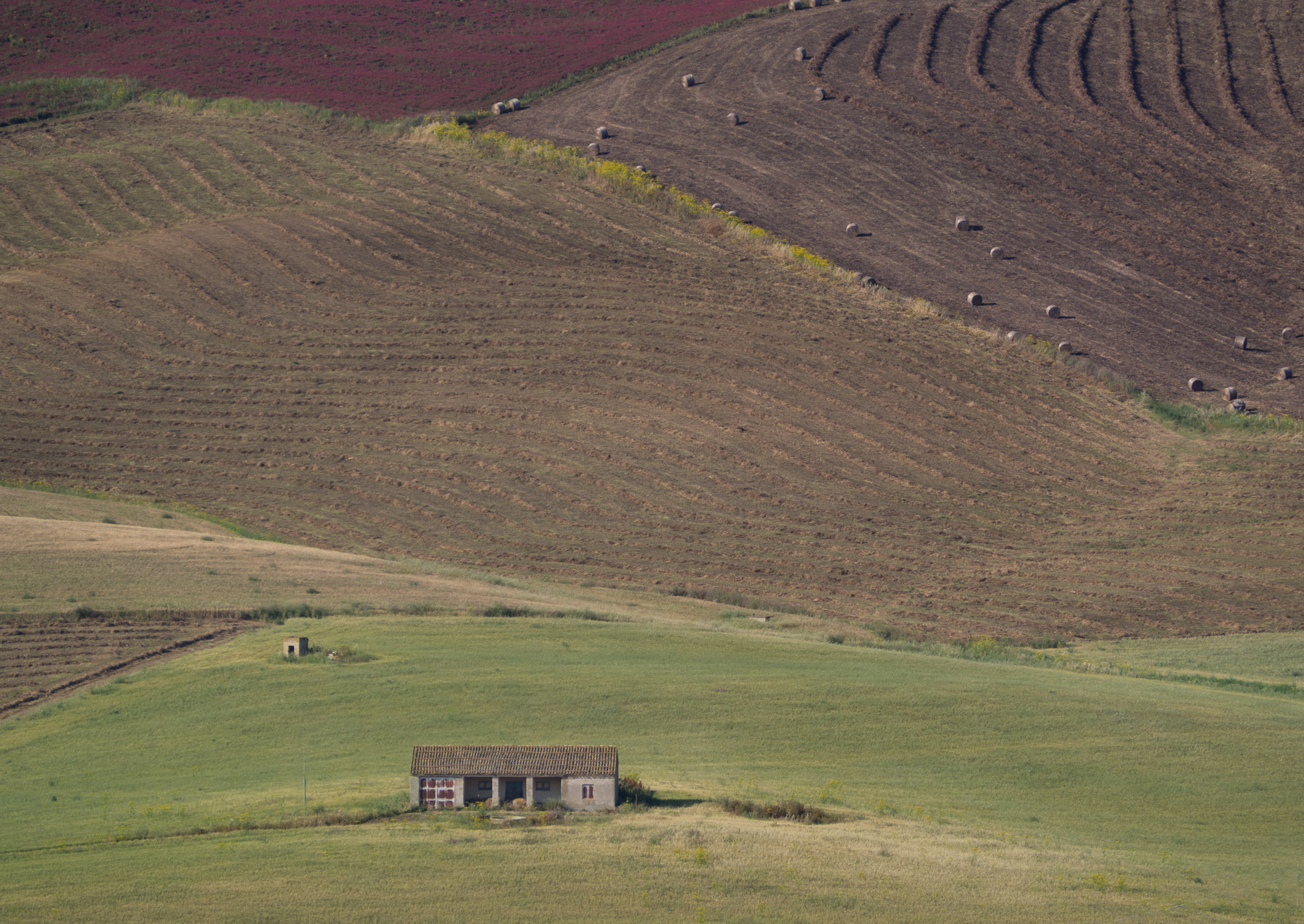 La casetta nei campi di grano