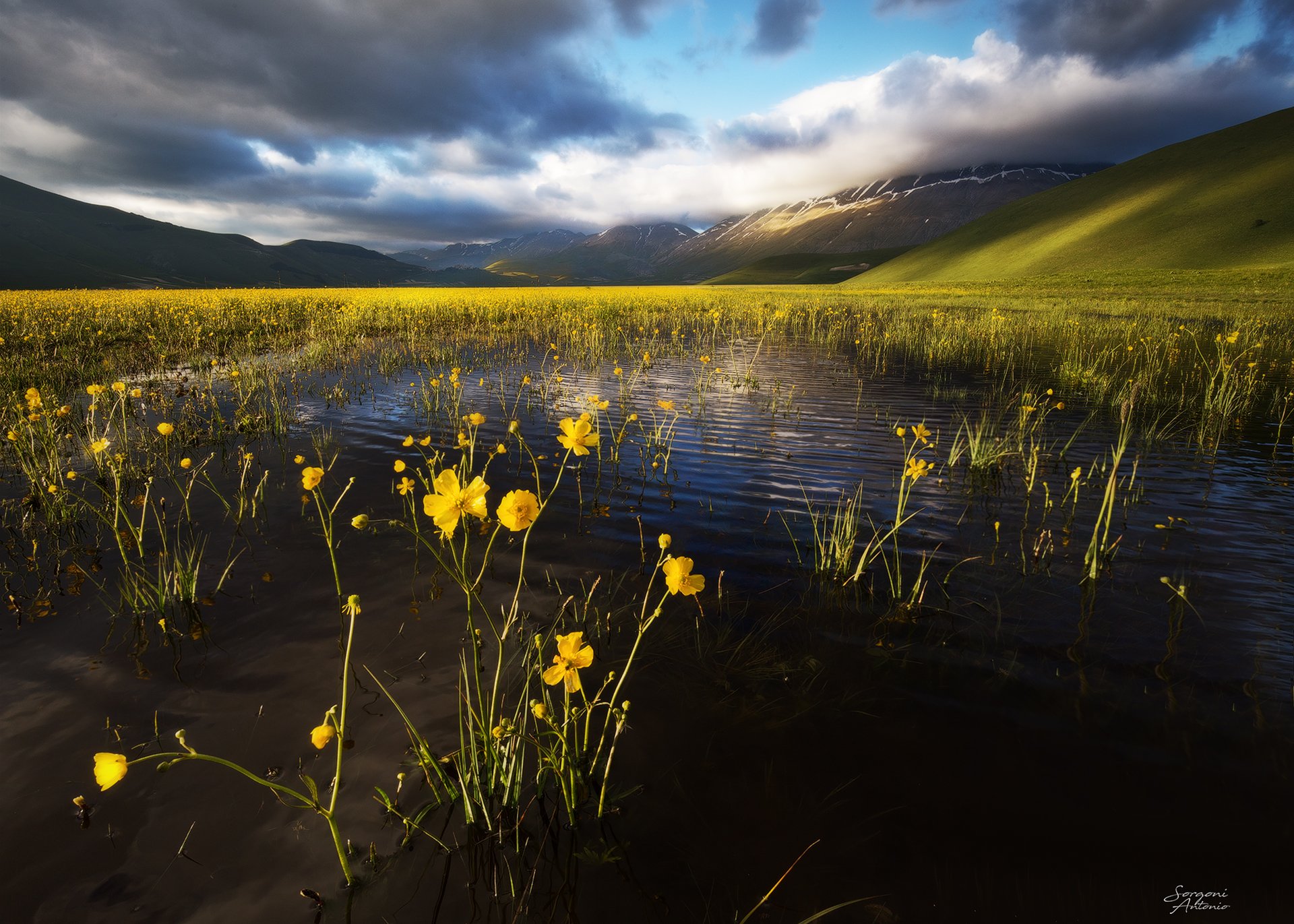 L'ostinazione della primavera