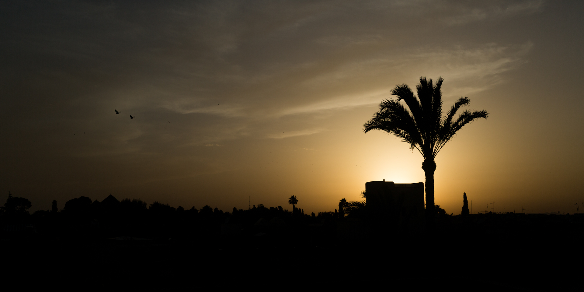 Sopra i tetti di Marrakech