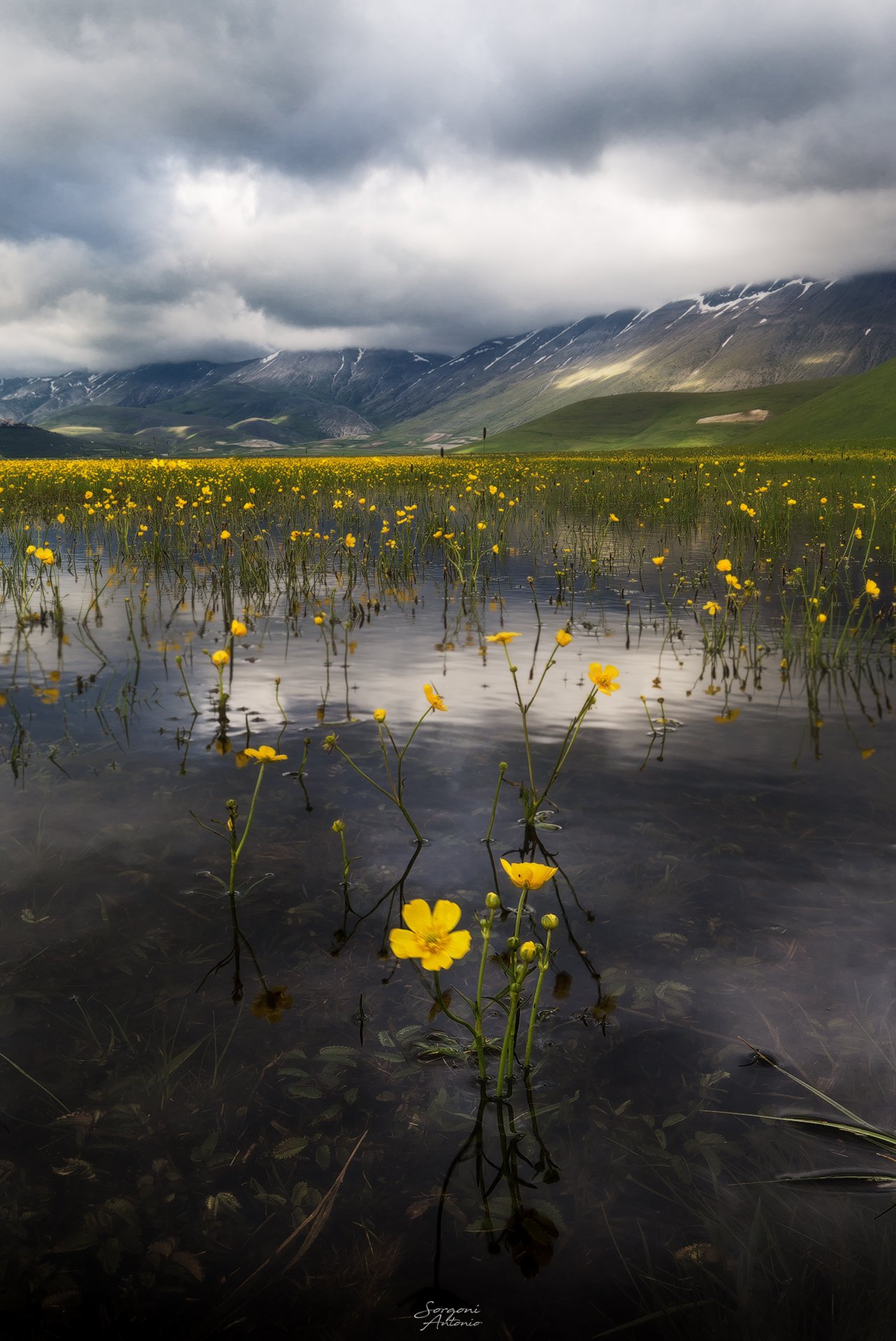 The obstinacy of Spring v2