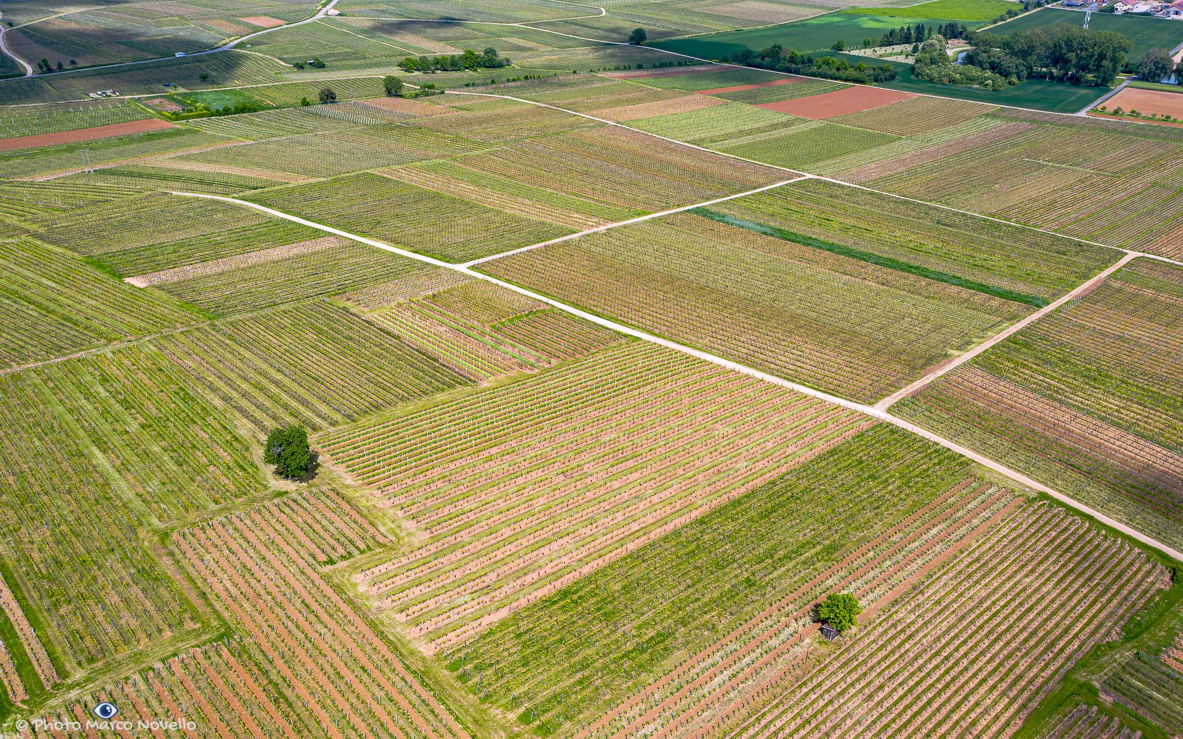 On the wine route...